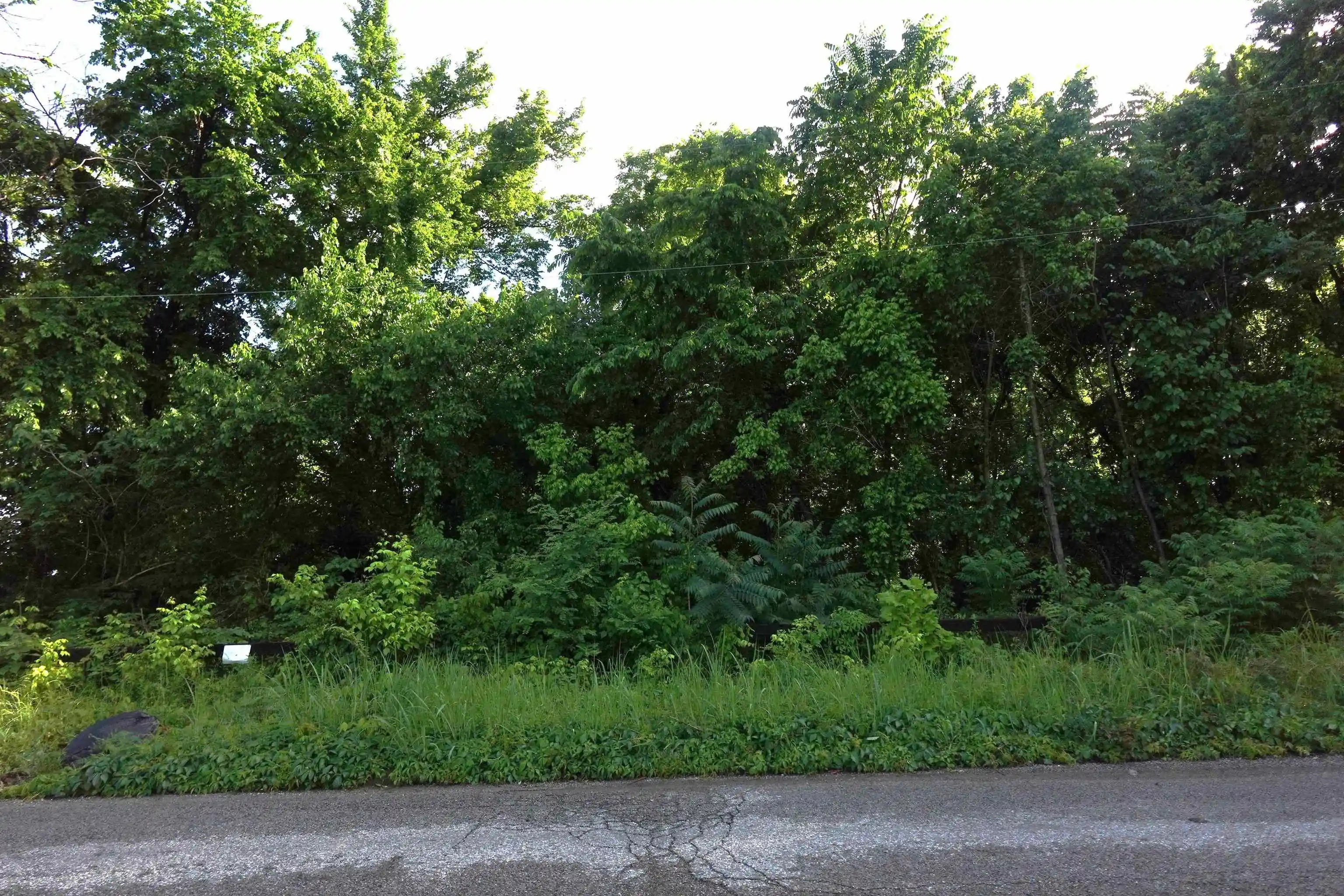 1st image of 2955 Northgate St, Memphis, TN 38127 | MLS# 10196595