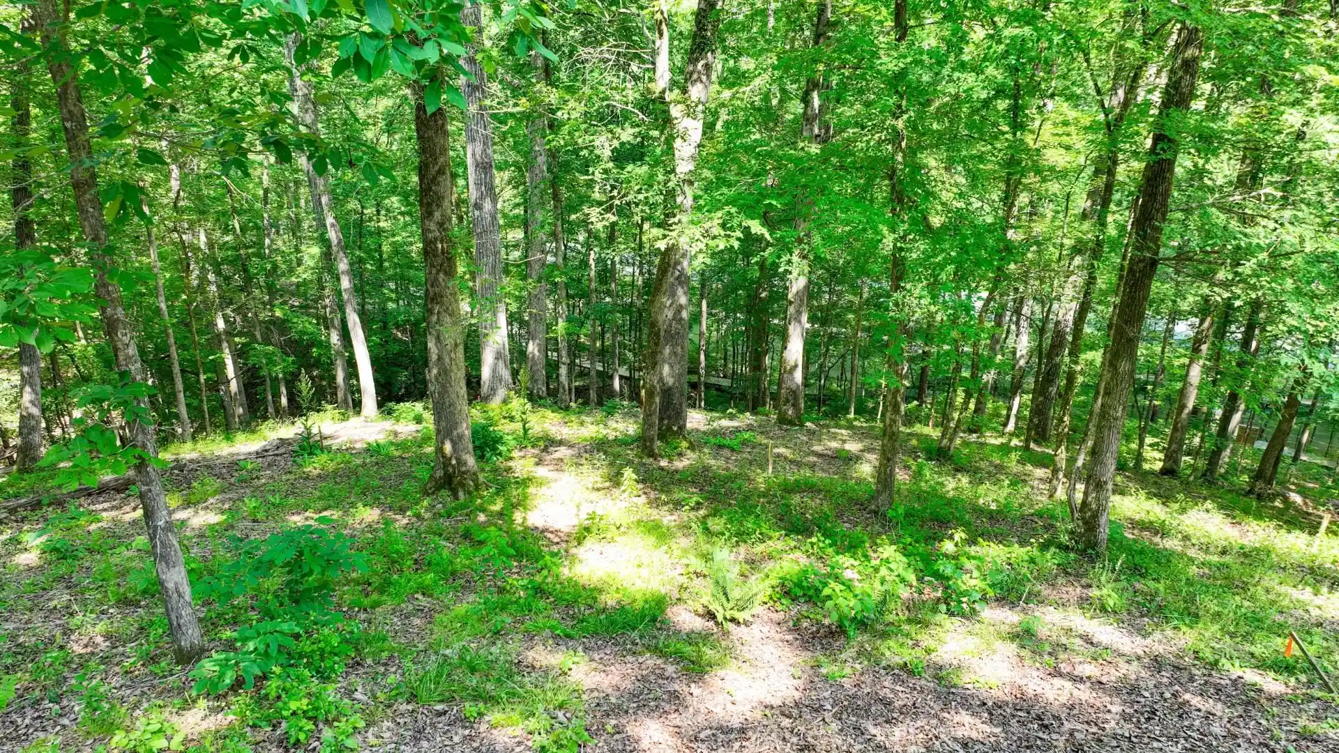 image of Lot 274 & 275 Secluded Loop, Savannah, TN 38372 | MLS# 10198928