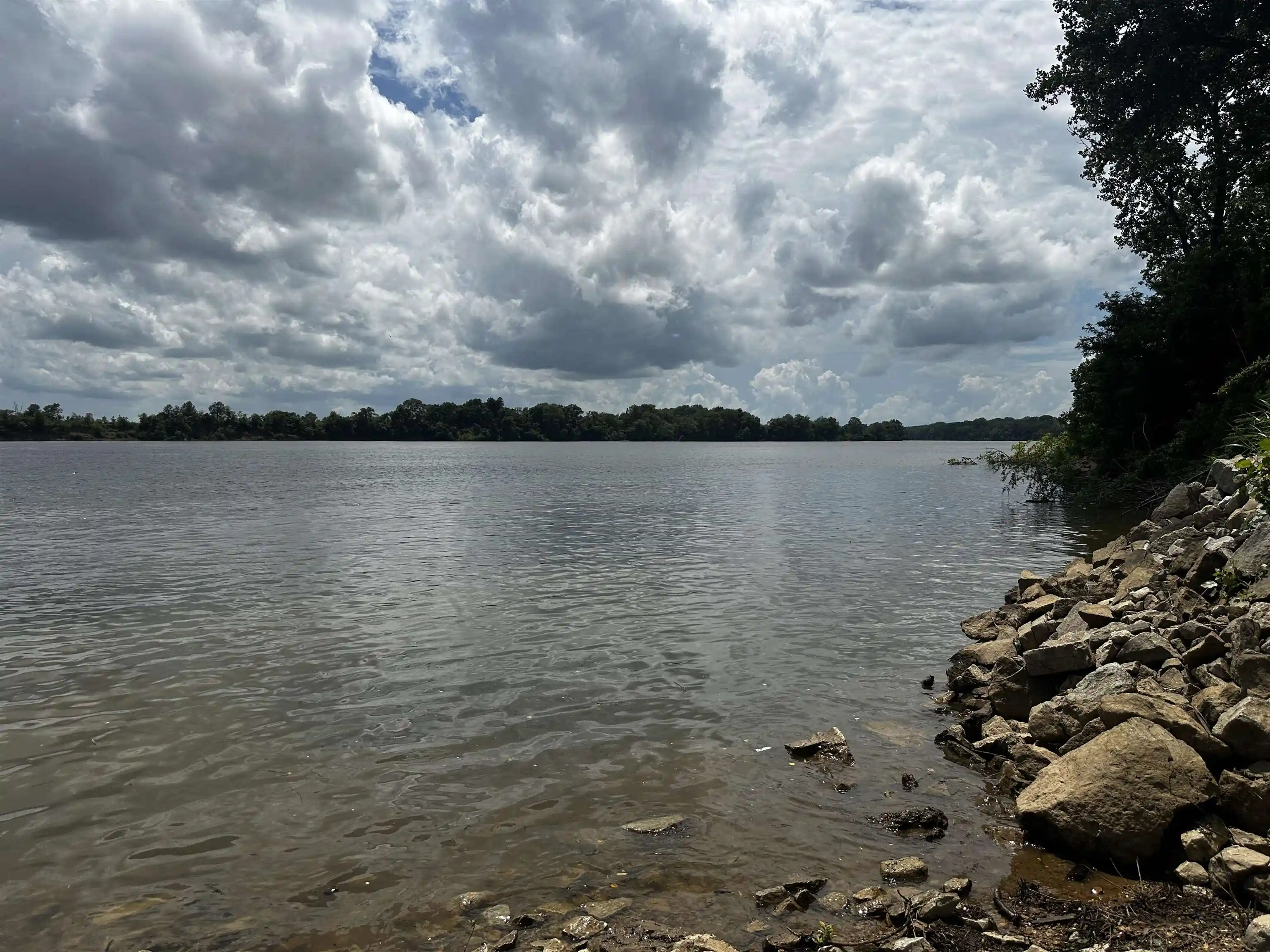 Photo 4 of Land for sale at Lot 73 Catfish Ln, Crump, TN 38327 | MLS# 10199210 | Listing updated on 2026-08-21