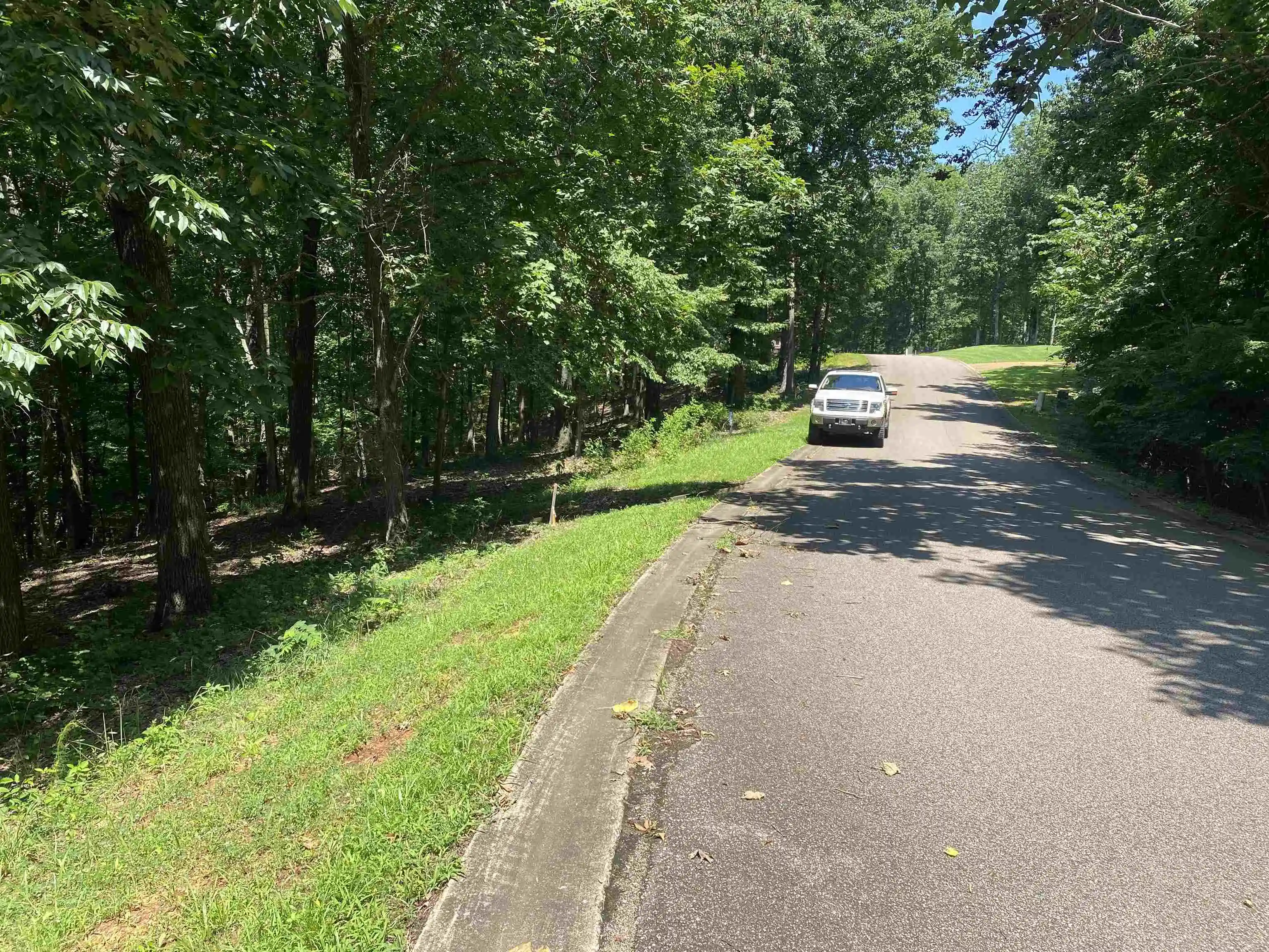 Photo 2 of Land for sale at 43 Breathtaking Loop, Savannah, TN 38372 | MLS# 10200427 | Listing updated on 2026-06-15