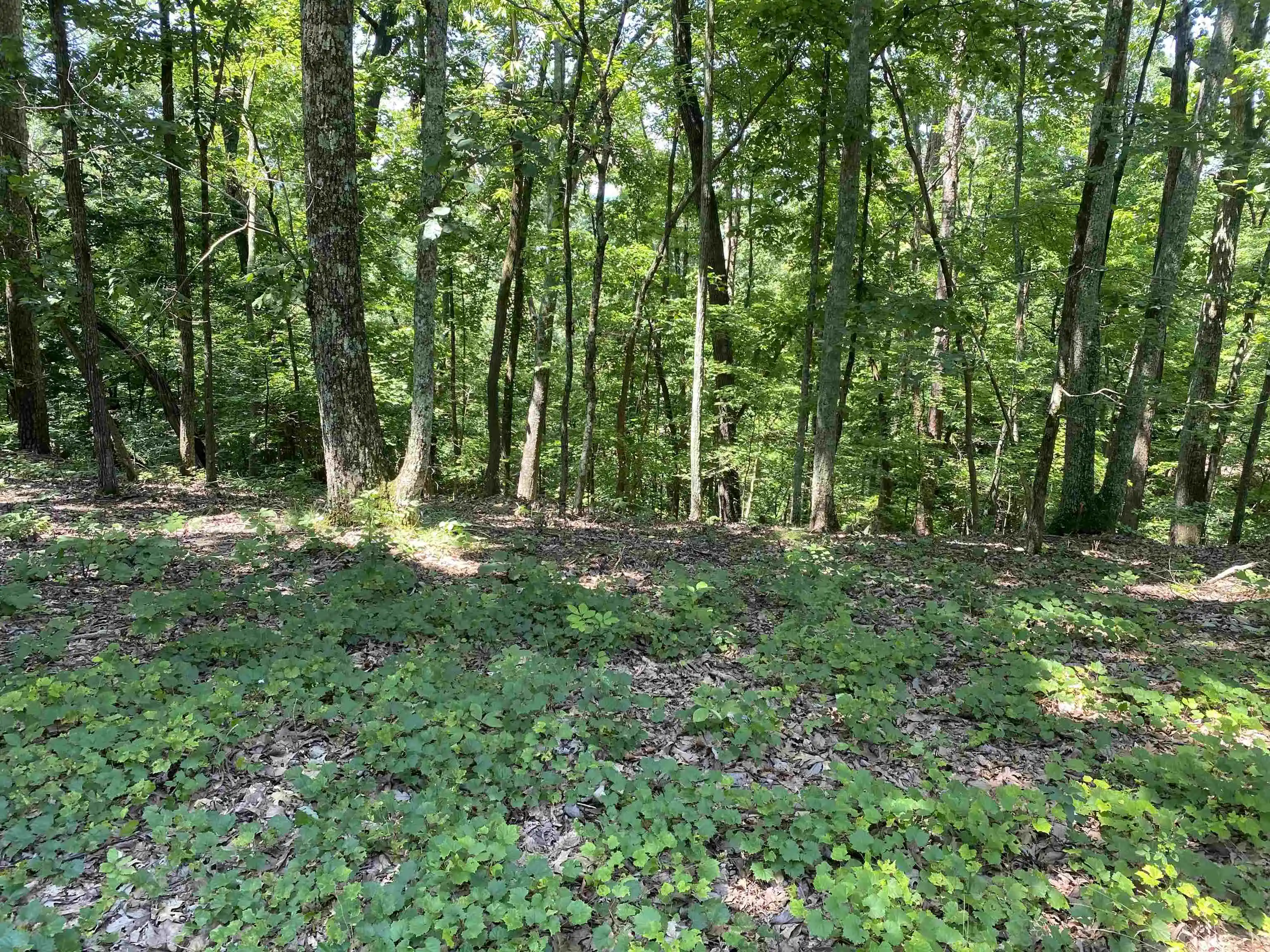 Photo 3 of Land for sale at 43 Breathtaking Loop, Savannah, TN 38372 | MLS# 10200427 | Listing updated on 2026-06-15