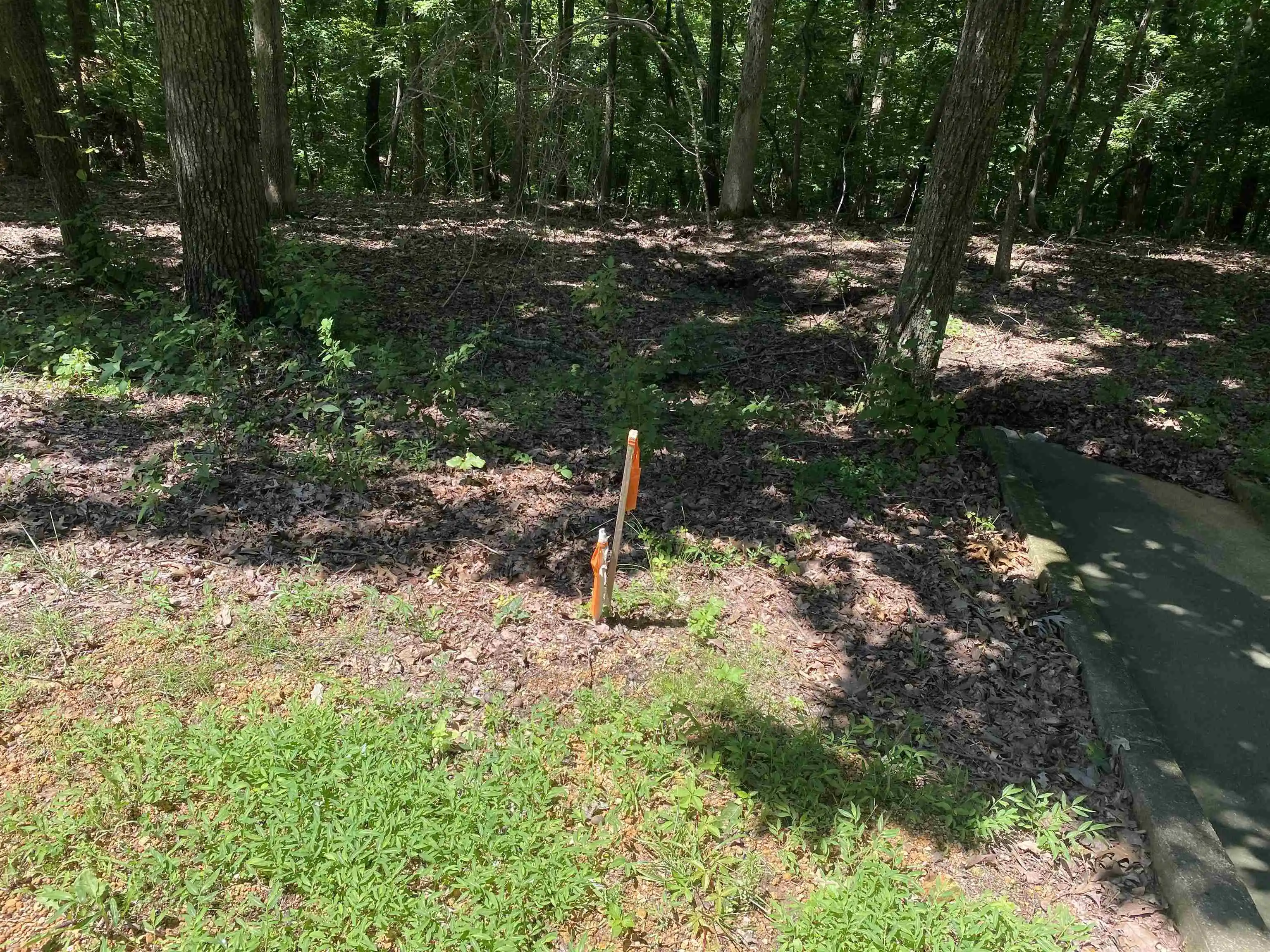 Photo 3 of Land for sale at 44 Breathtaking Loop, Savannah, TN 38372 | MLS# 10200431 | Listing updated on 2026-06-15