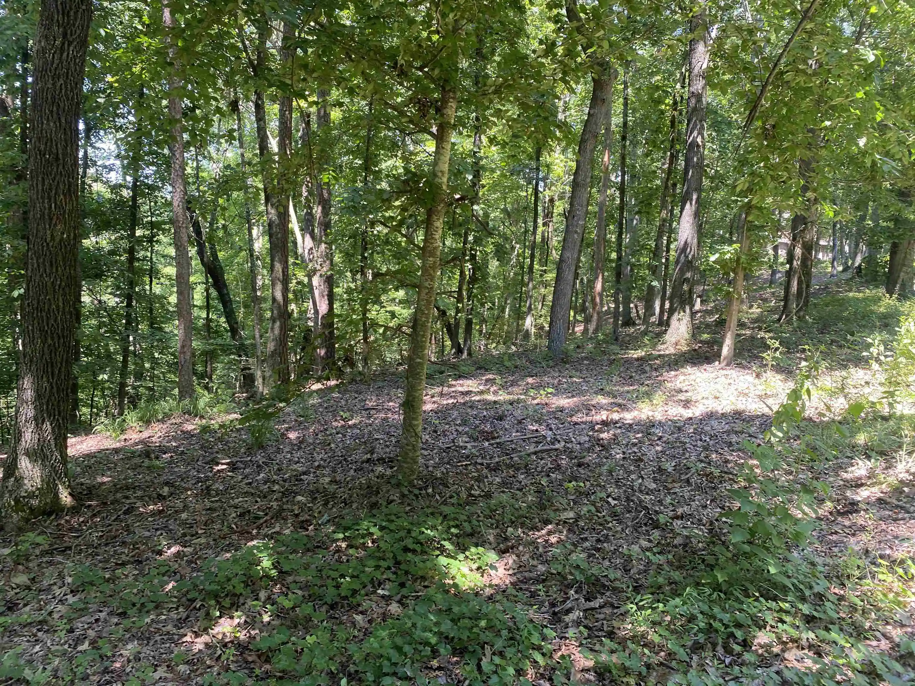 Photo 4 of Land for sale at 44 Breathtaking Loop, Savannah, TN 38372 | MLS# 10200431 | Listing updated on 2026-06-15