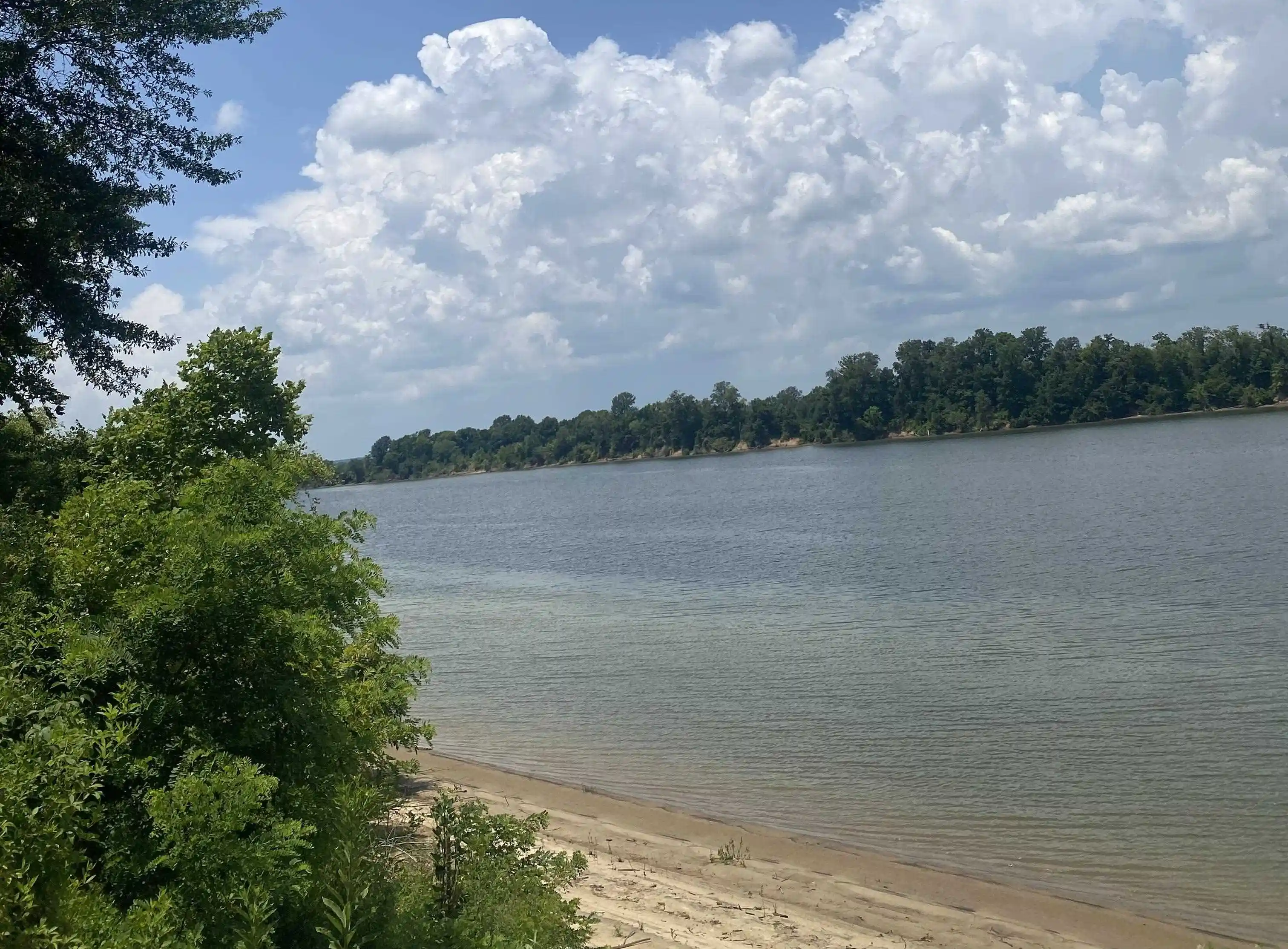 1st image of 12 Caden Cv, Savannah, TN 38372 | MLS# 10200857
