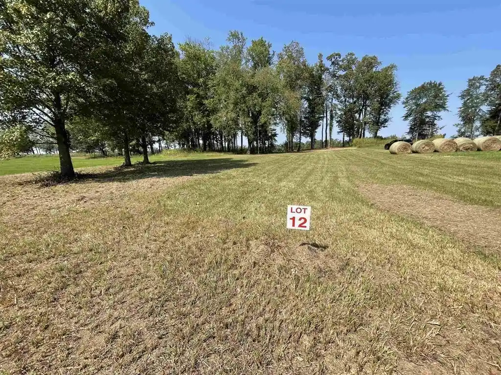 2nd image of 12 Caden Cv, Savannah, TN 38372 | MLS# 10200857