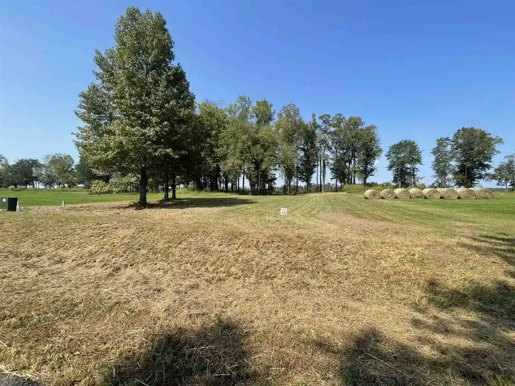 13th image of 12 Caden Cv, Savannah, TN 38372 | MLS# 10200857