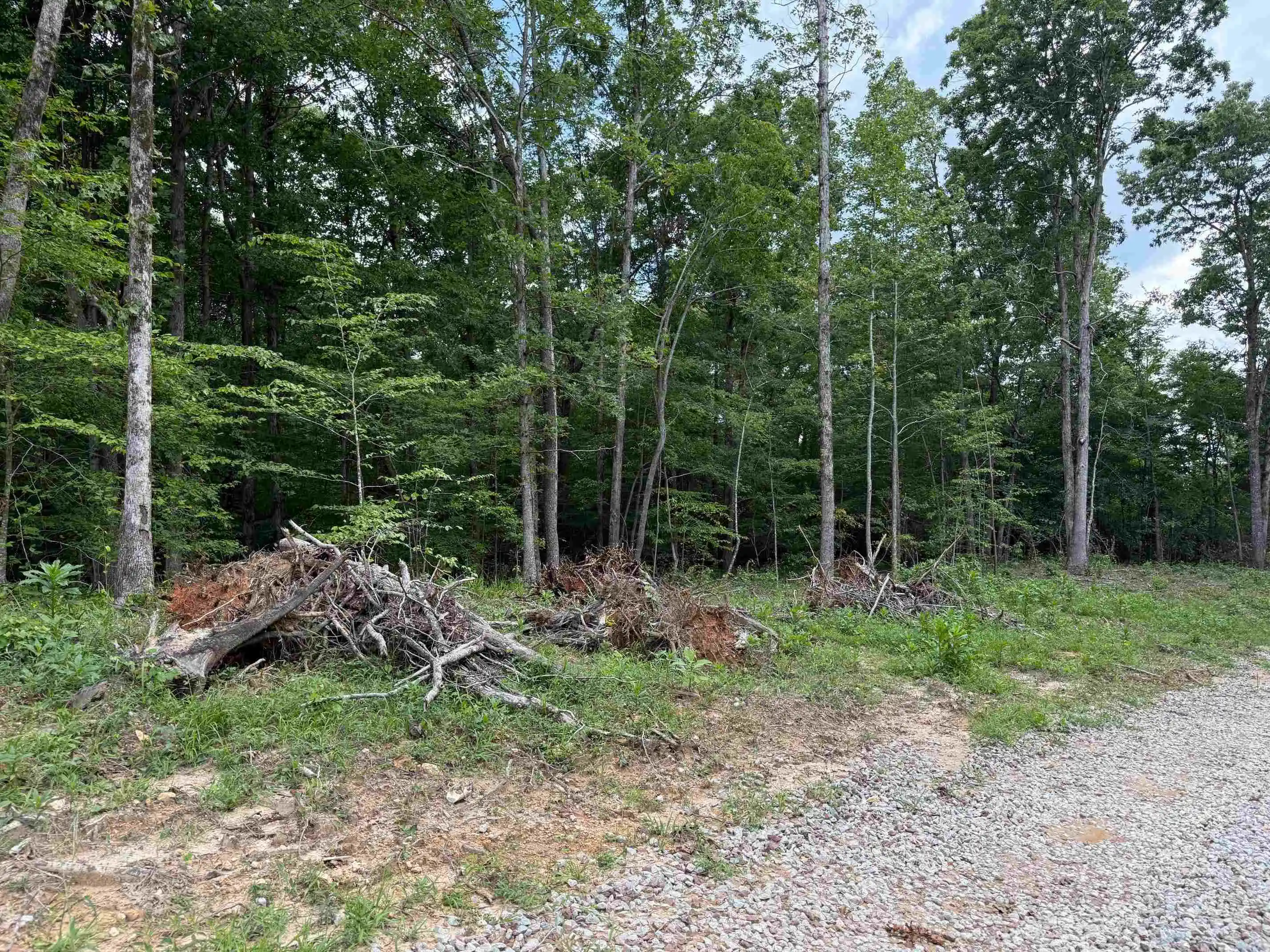 2nd image of 0 69 Hwy, Savannah, TN 38372 | MLS# 10201709