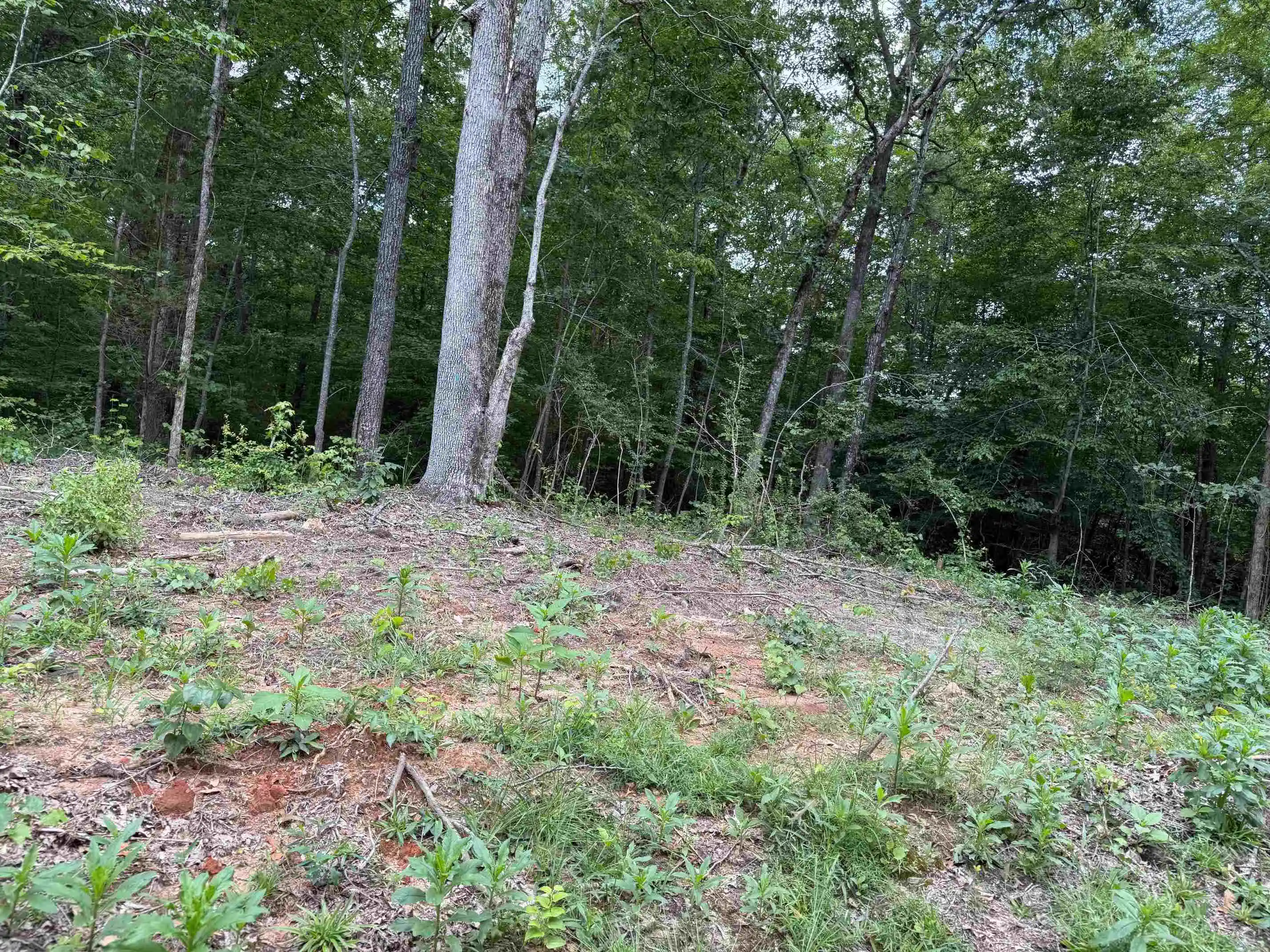 3rd image of 0 69 Hwy, Savannah, TN 38372 | MLS# 10201709