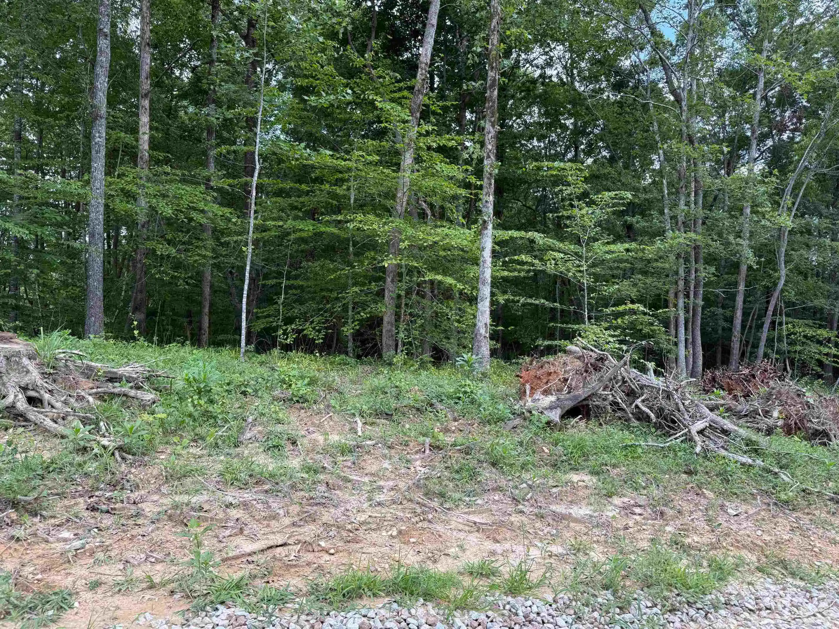 4th image of 0 69 Hwy, Savannah, TN 38372 | MLS# 10201709