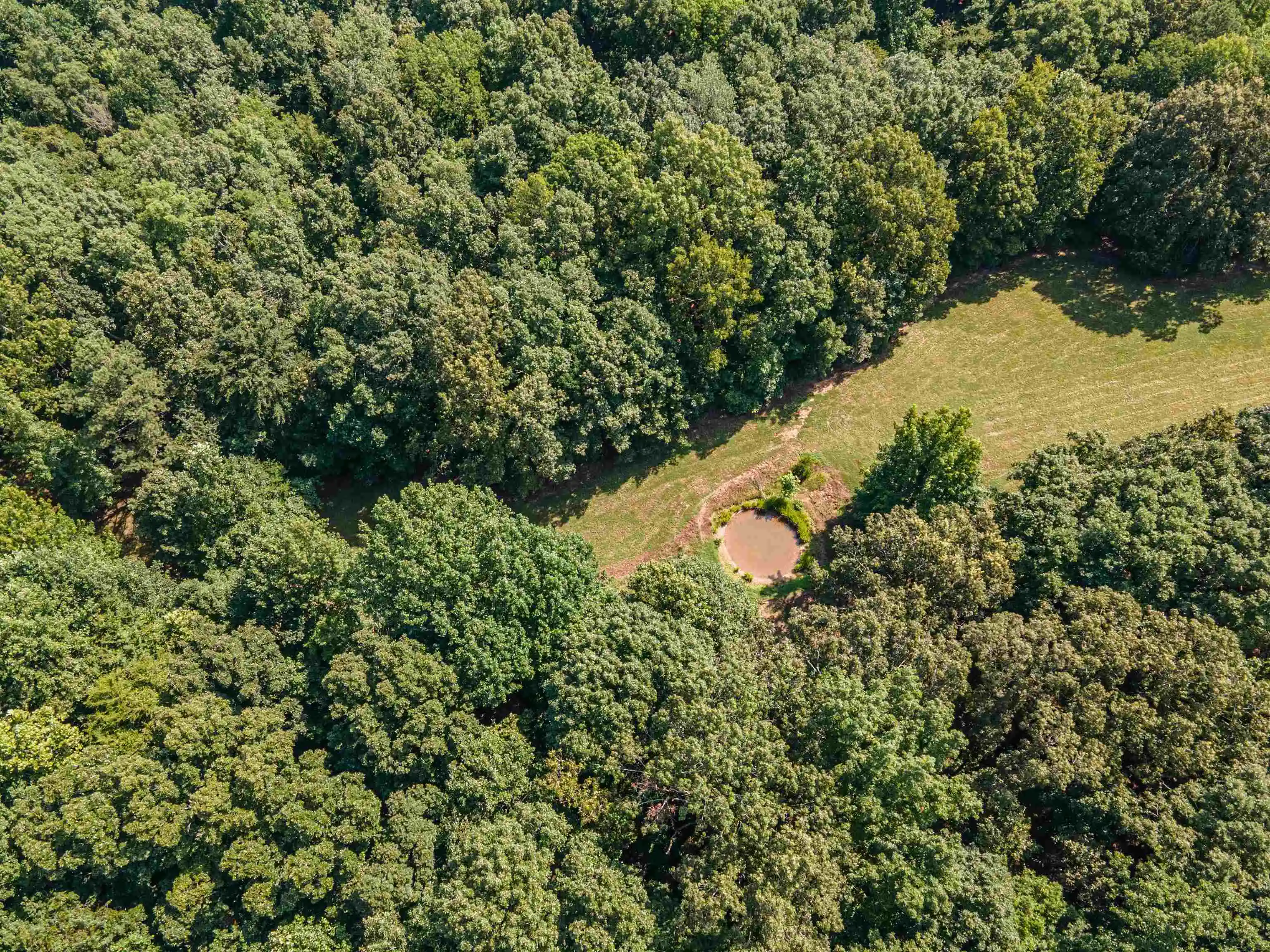 23rd image of Country Club Rd, Somerville, TN 38068 | MLS# 10202313