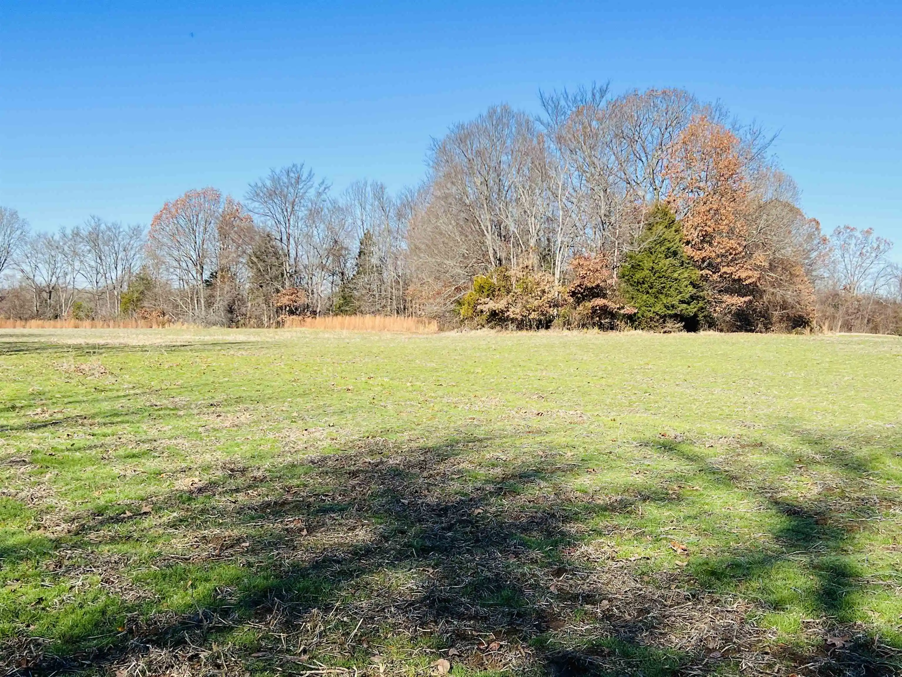 Photo 2 of Land for sale at 230 Crooked Crk Dr, Oakland, TN 38060 | MLS# 10203028 | Listing updated on 2026-04-23