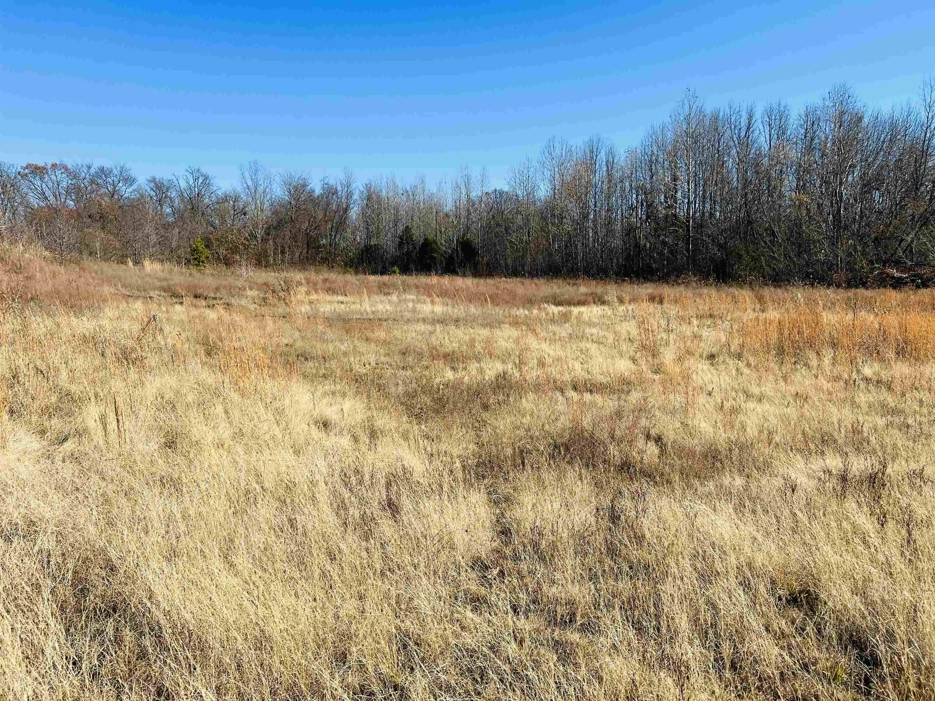 Photo 3 of Land for sale at 230 Crooked Crk Dr, Oakland, TN 38060 | MLS# 10203028 | Listing updated on 2026-04-23
