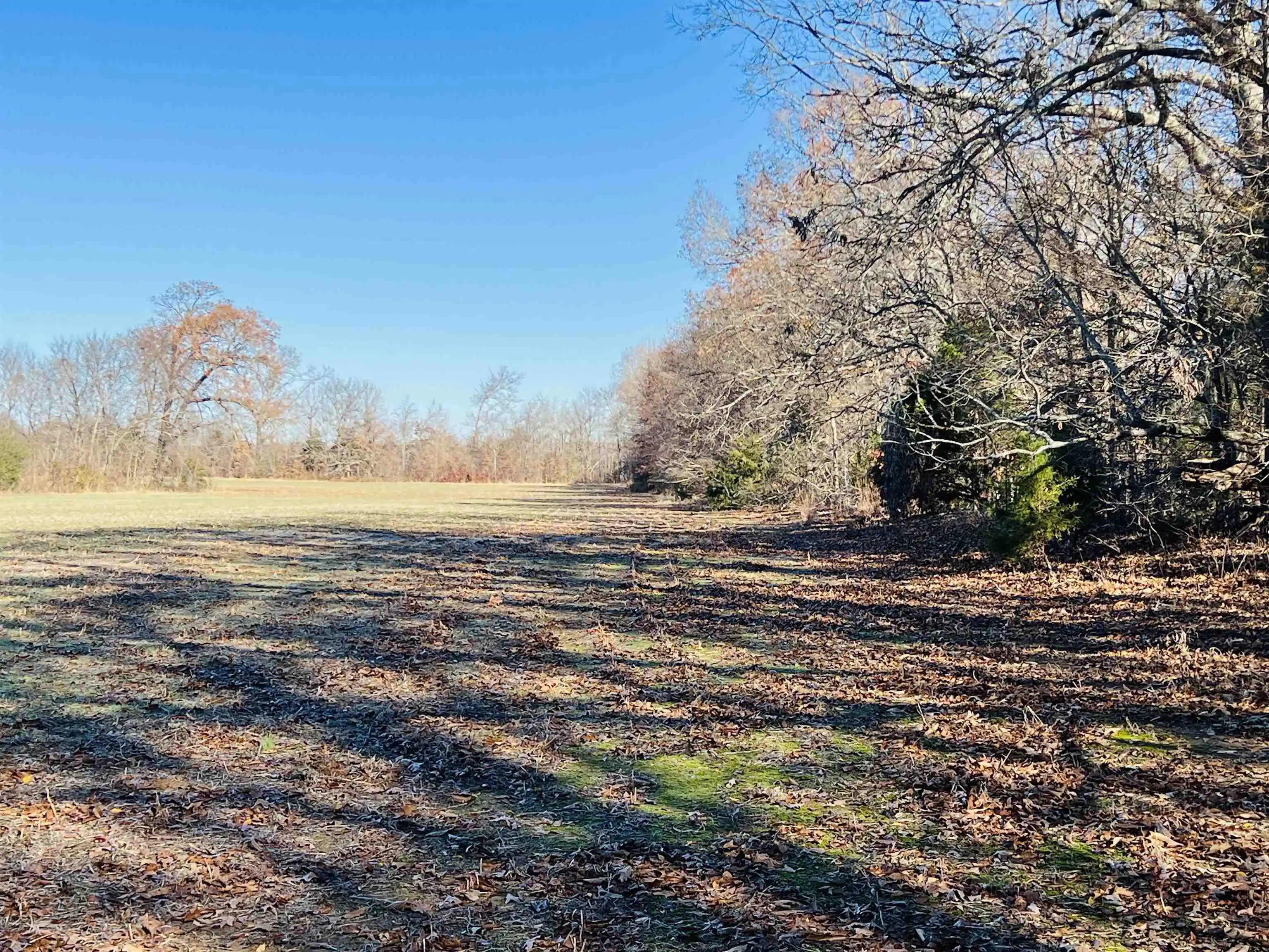 Photo 3 of Land for sale at 230 Crooked Crk Dr, Oakland, TN 38060 | MLS# 10203028 | Listing updated on 2026-04-23