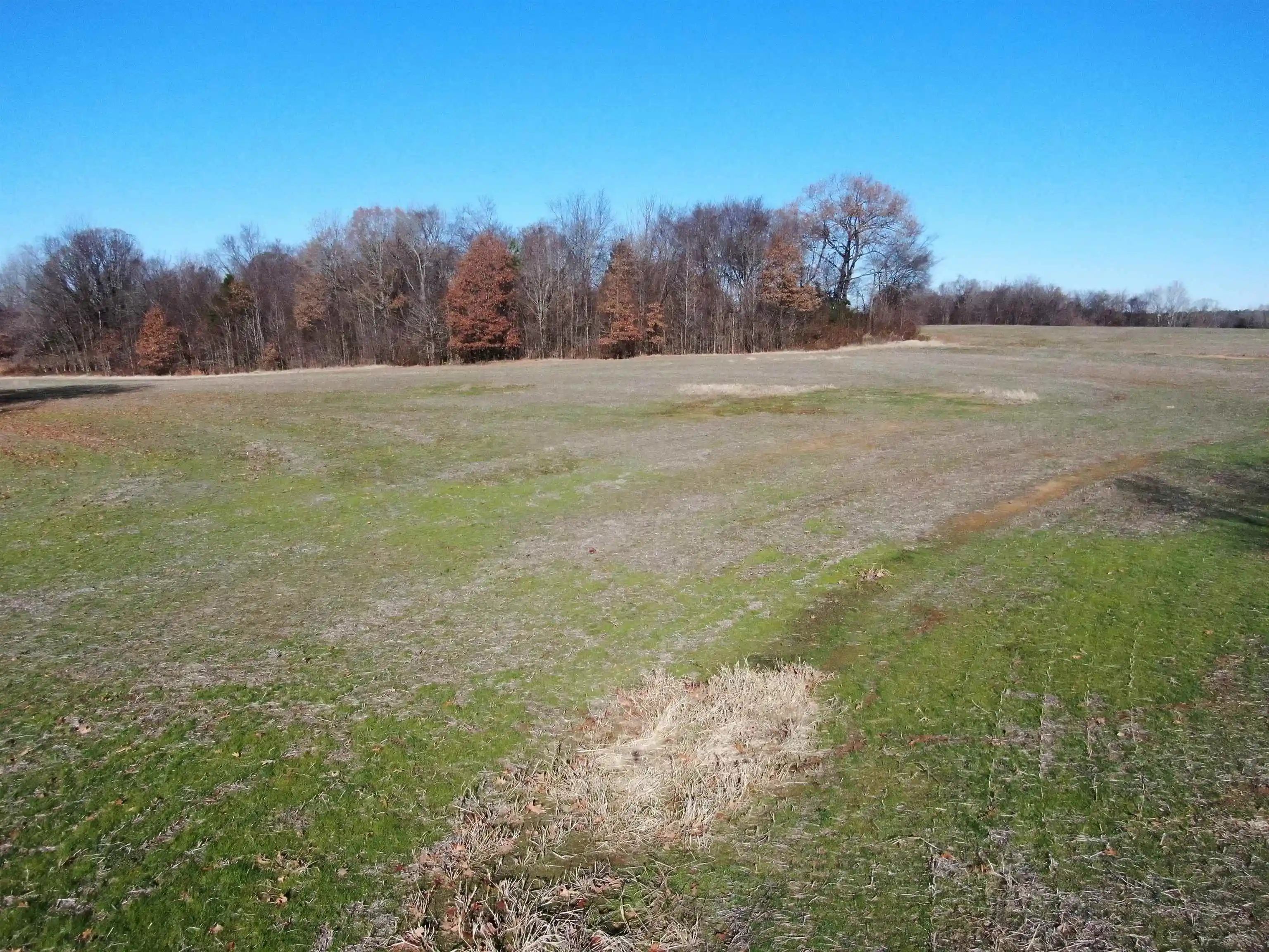 Photo 4 of Land for sale at 230 Crooked Crk Dr, Oakland, TN 38060 | MLS# 10203028 | Listing updated on 2026-04-23