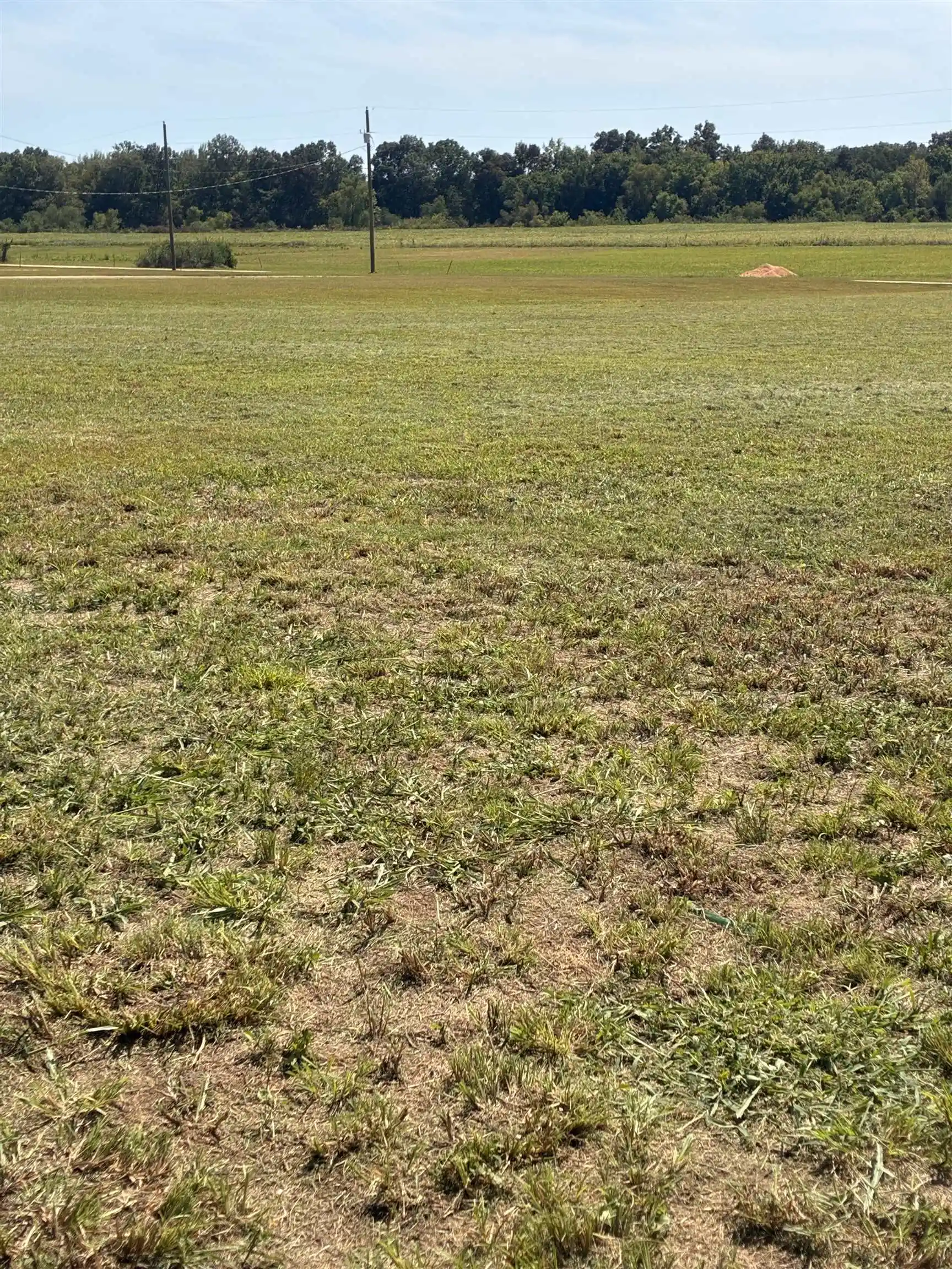 2nd image of 0 Dancing Eagle Ln #LOT 7, Clifton, TN 38425 | MLS# 10203466