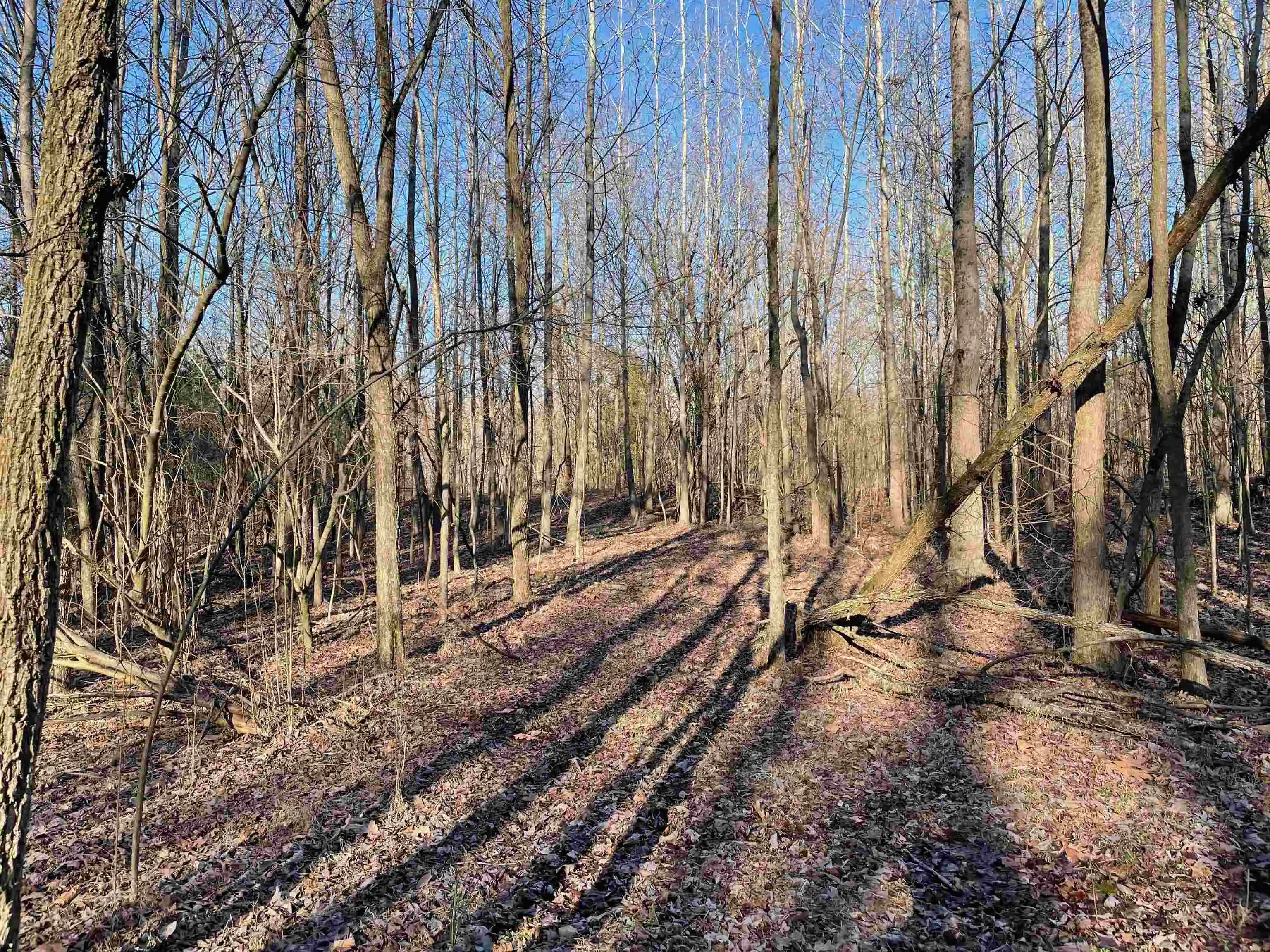 Photo 3 of Land for sale at 385 Monterey Dr, Collierville, TN 38017 | MLS# 10204341 | Listing updated on 2026-08-27