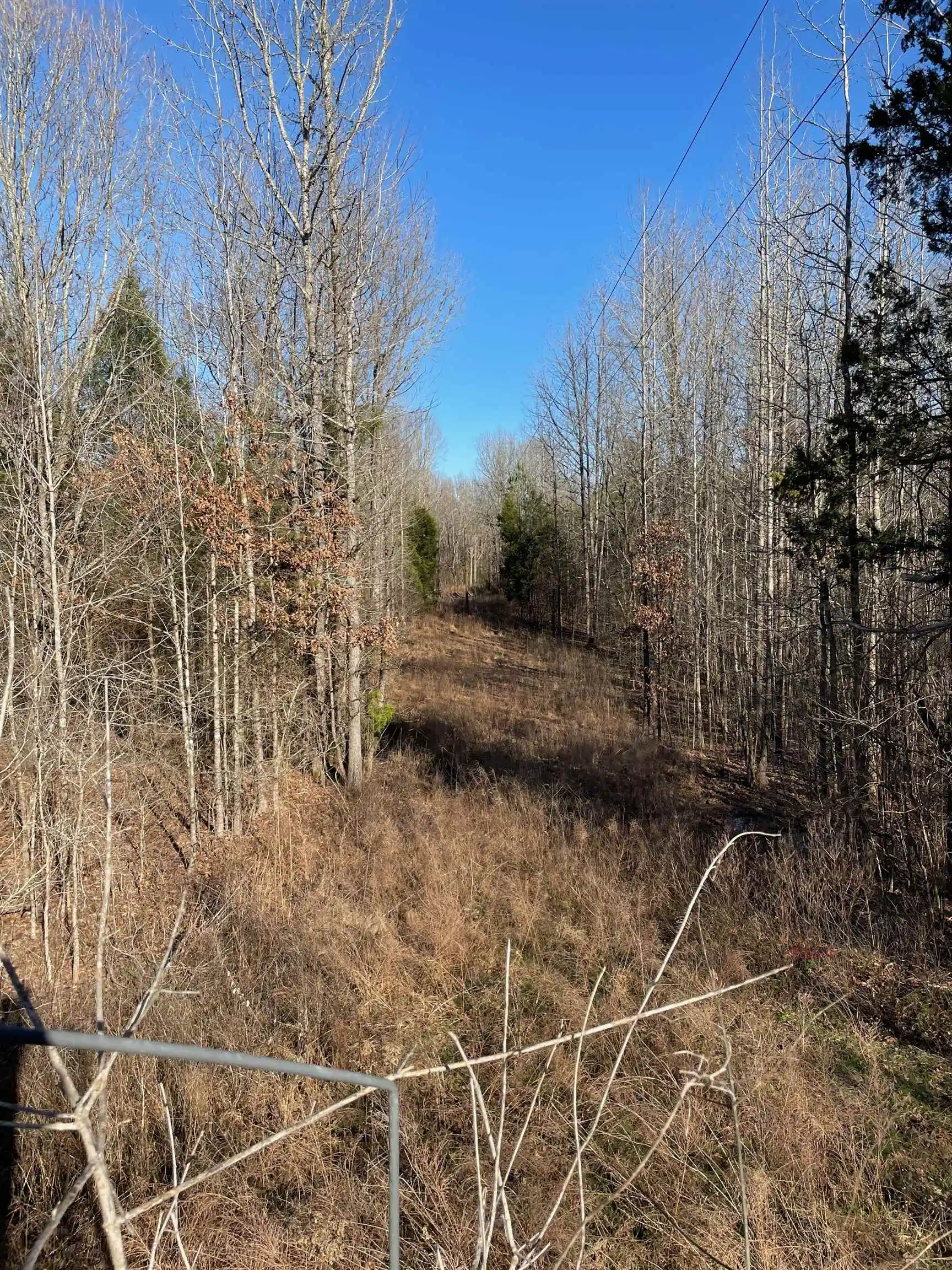 Photo 4 of Land for sale at 385 Monterey Dr, Collierville, TN 38017 | MLS# 10204341 | Listing updated on 2026-08-27