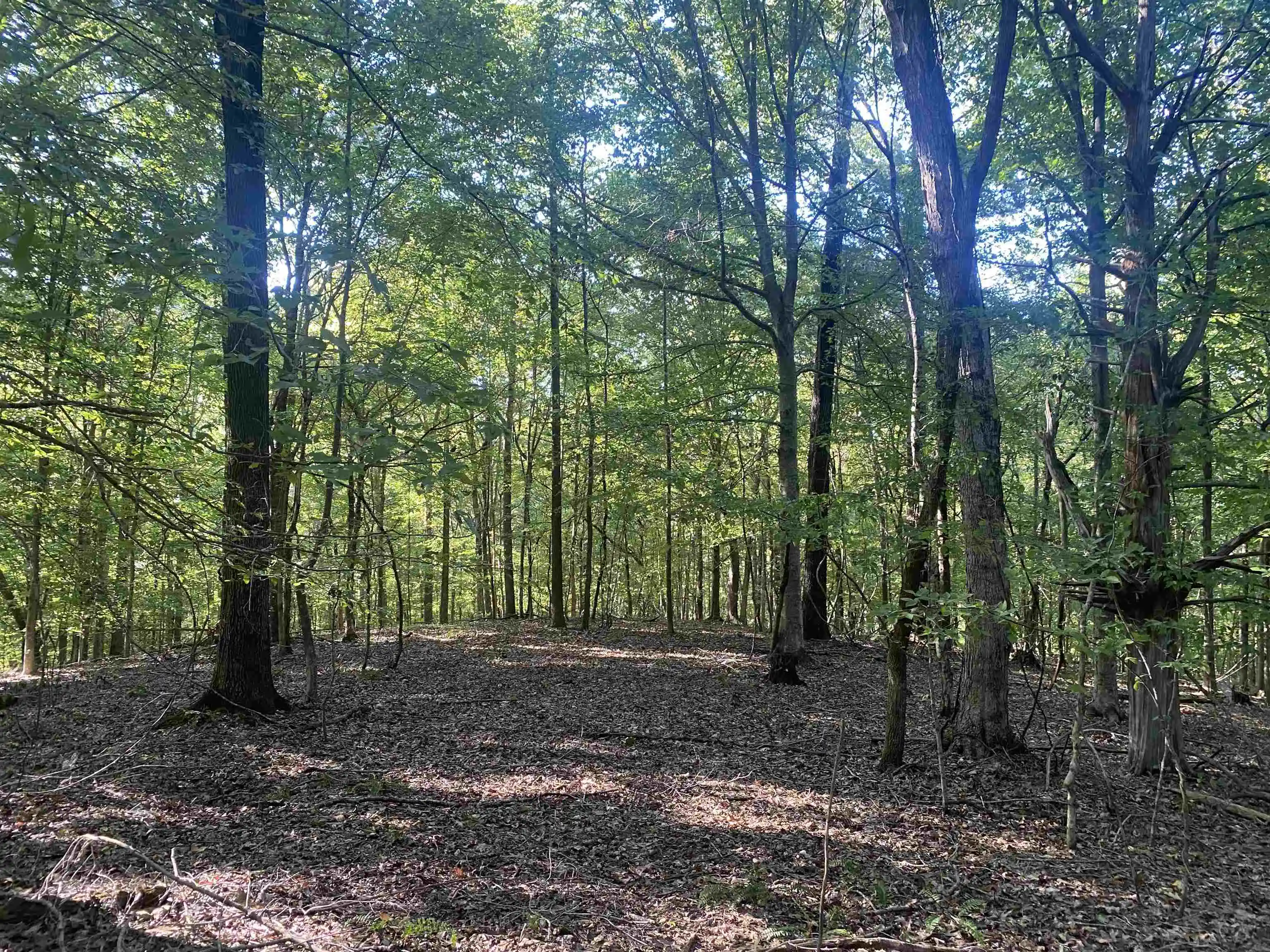 Photo 1 of Land for sale at 1 Friendship Loop, Savannah, TN 38372 | MLS# 10204604 | Listing updated on 2026-08-28