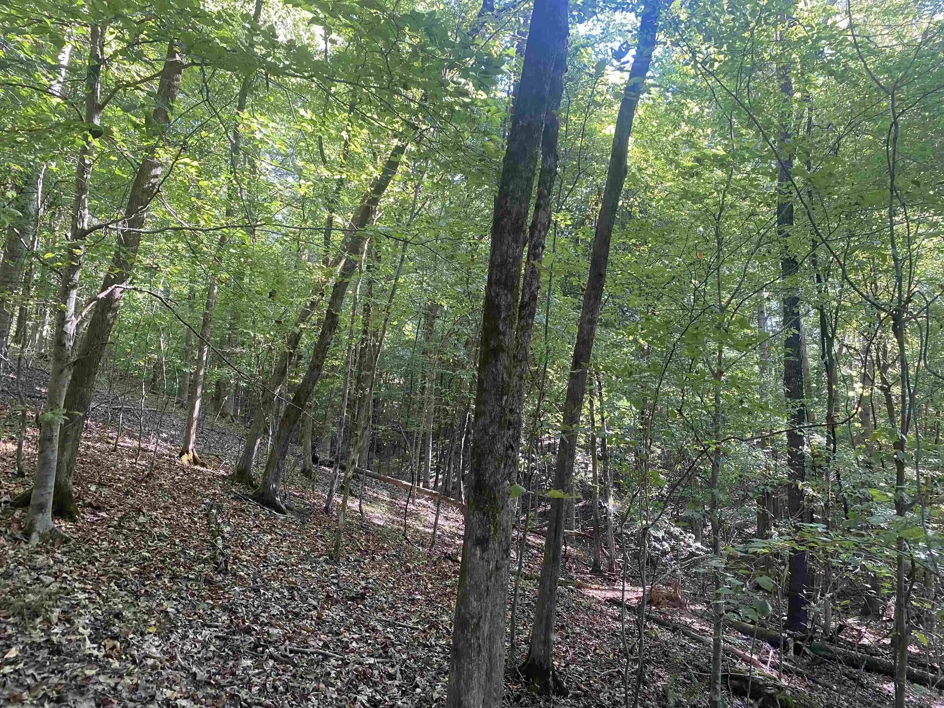 Photo 2 of Land for sale at 1 Friendship Loop, Savannah, TN 38372 | MLS# 10204604 | Listing updated on 2026-08-28
