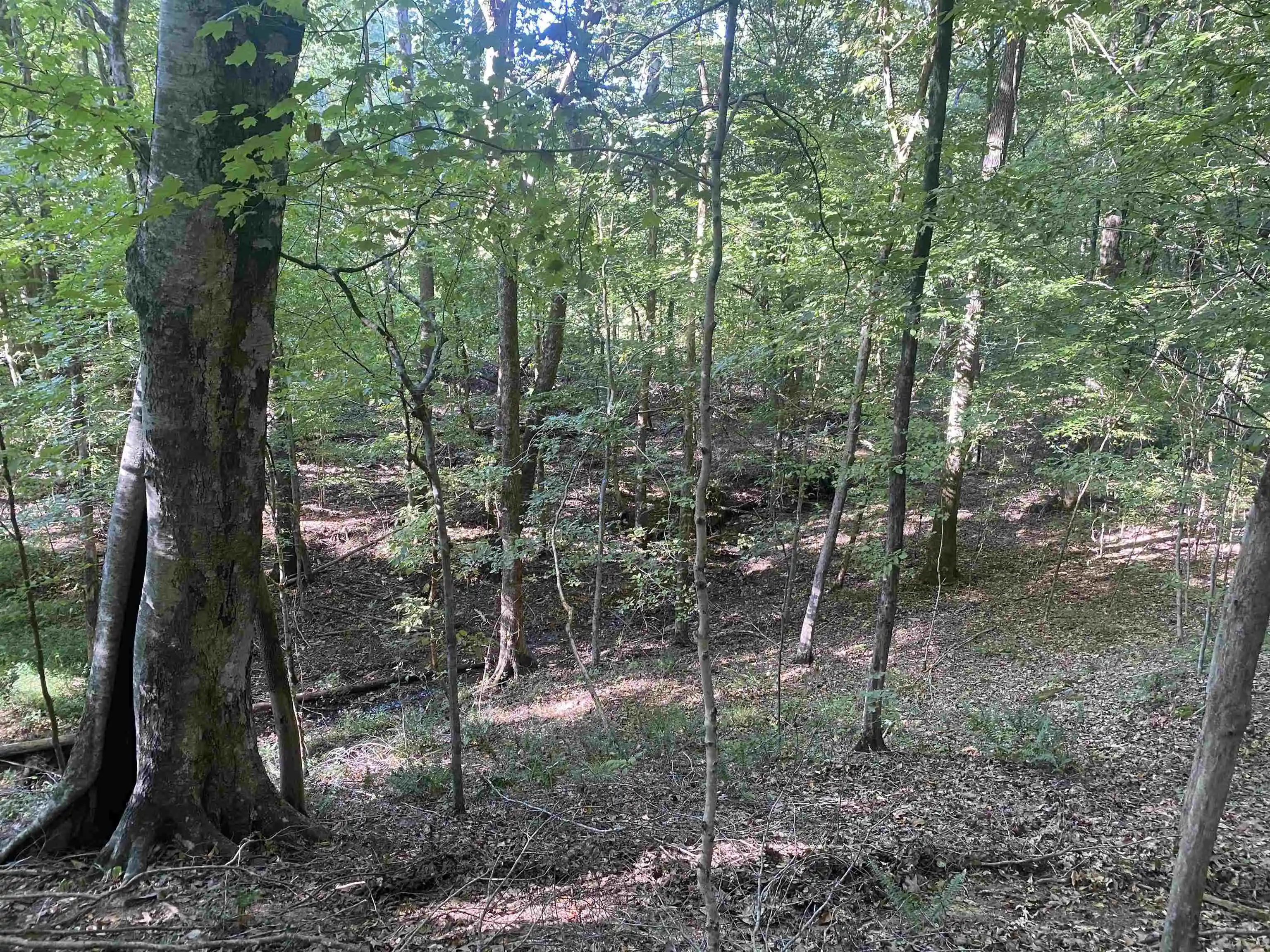 Photo 3 of Land for sale at 1 Friendship Loop, Savannah, TN 38372 | MLS# 10204604 | Listing updated on 2026-08-28