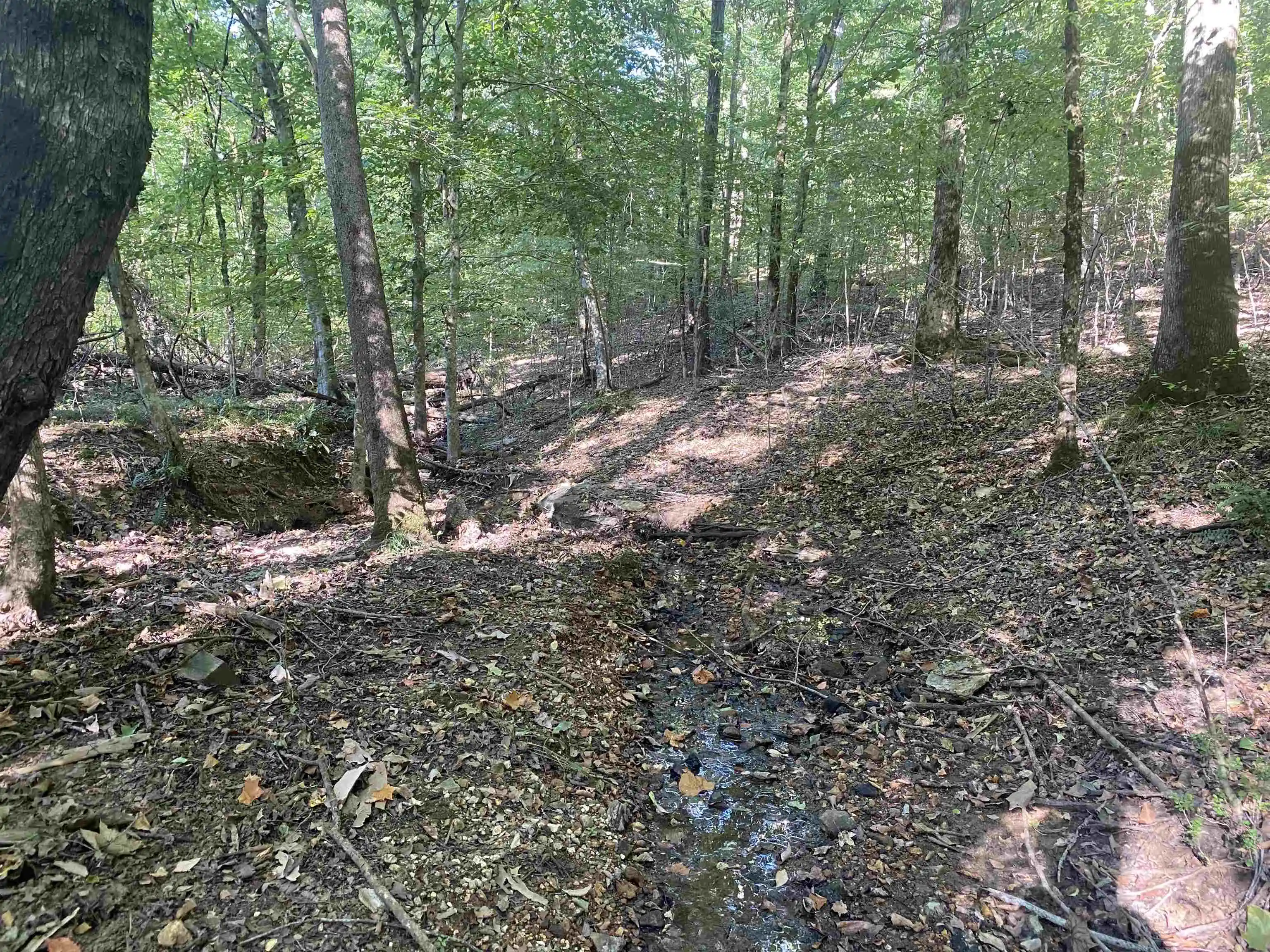 Photo 4 of Land for sale at 1 Friendship Loop, Savannah, TN 38372 | MLS# 10204604 | Listing updated on 2026-08-28