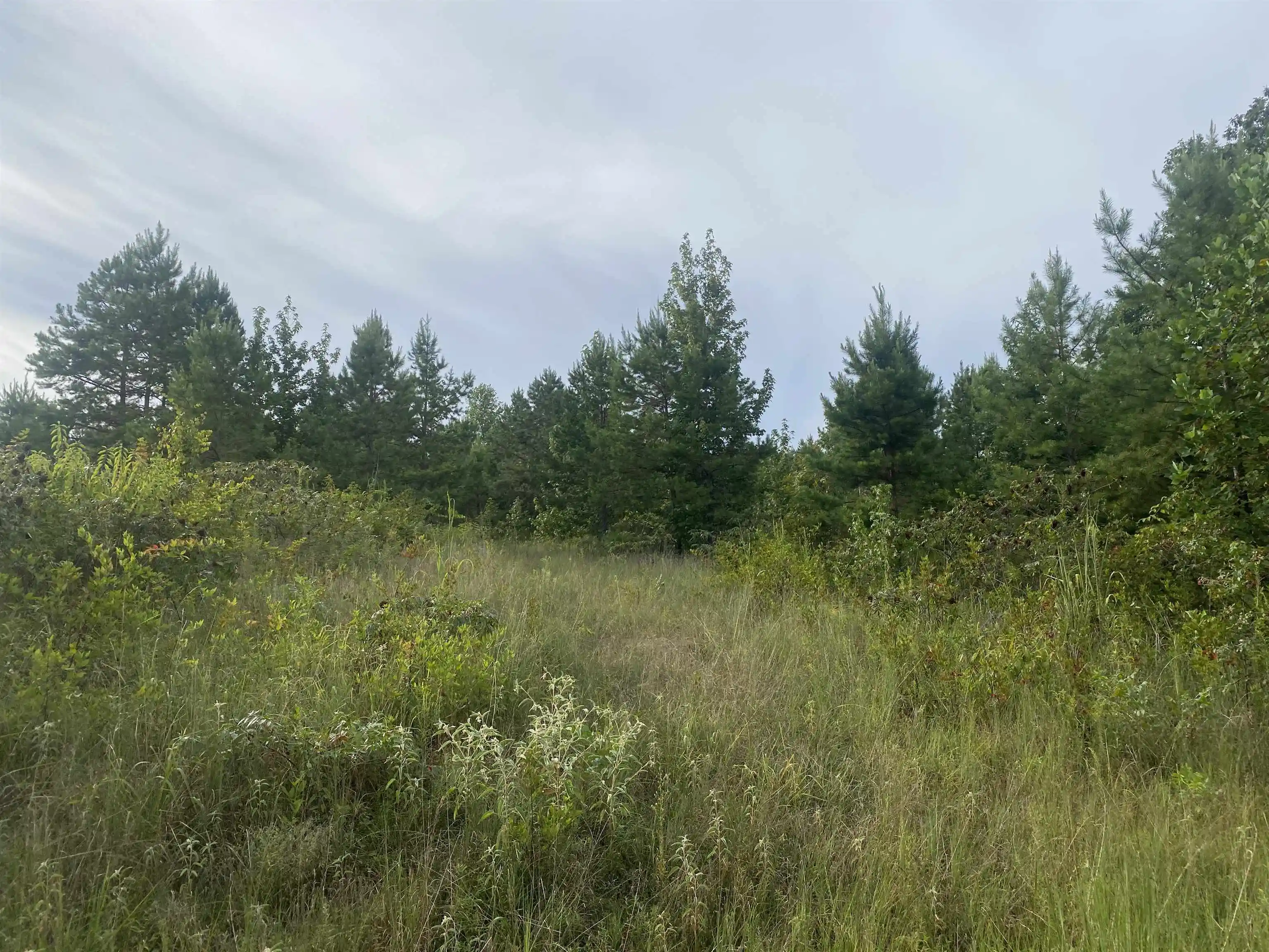 2nd image of 1 Bruton Rd, Savannah, TN 38372 | MLS# 10204626