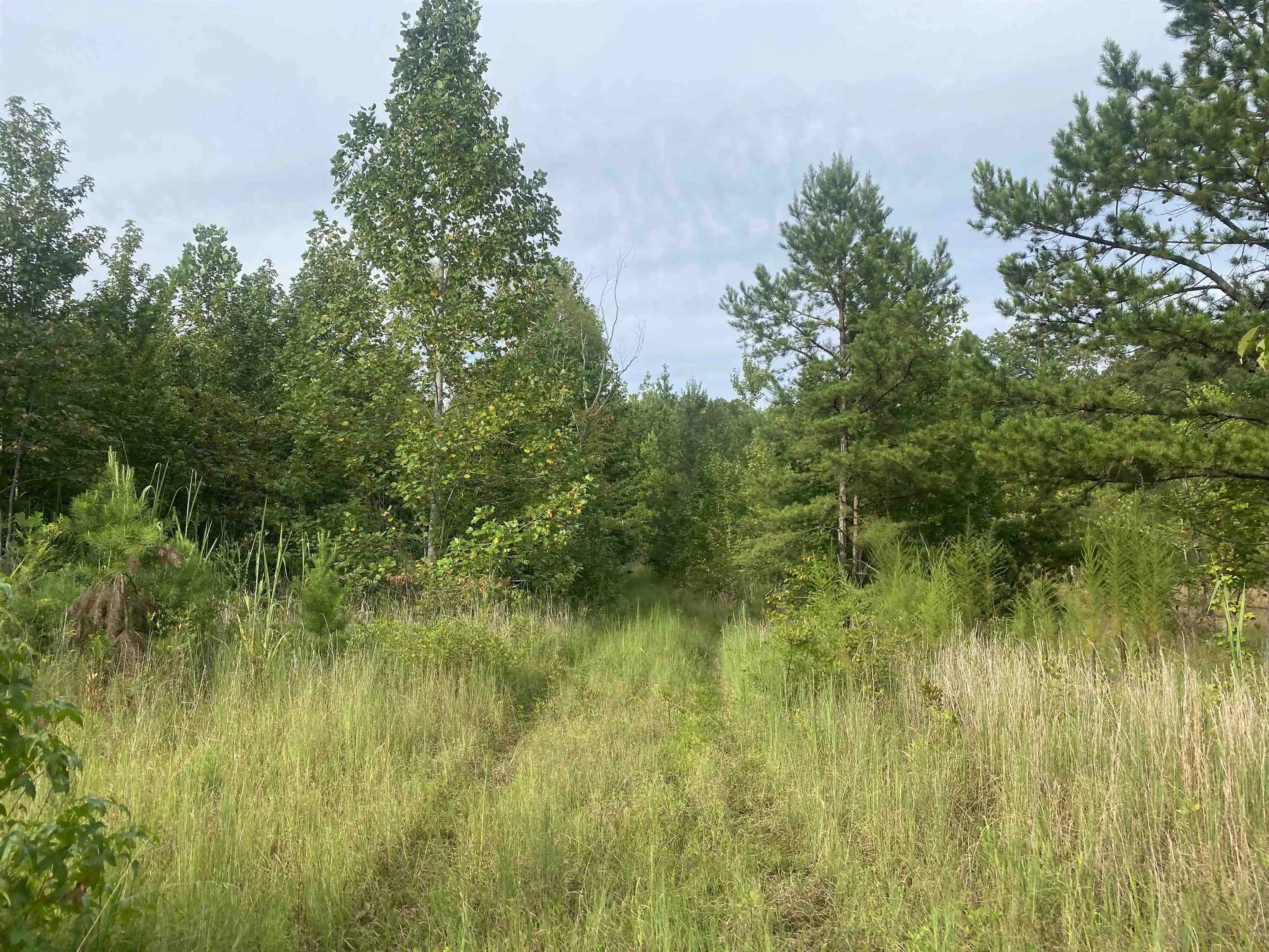 3rd image of 1 Bruton Rd, Savannah, TN 38372 | MLS# 10204626