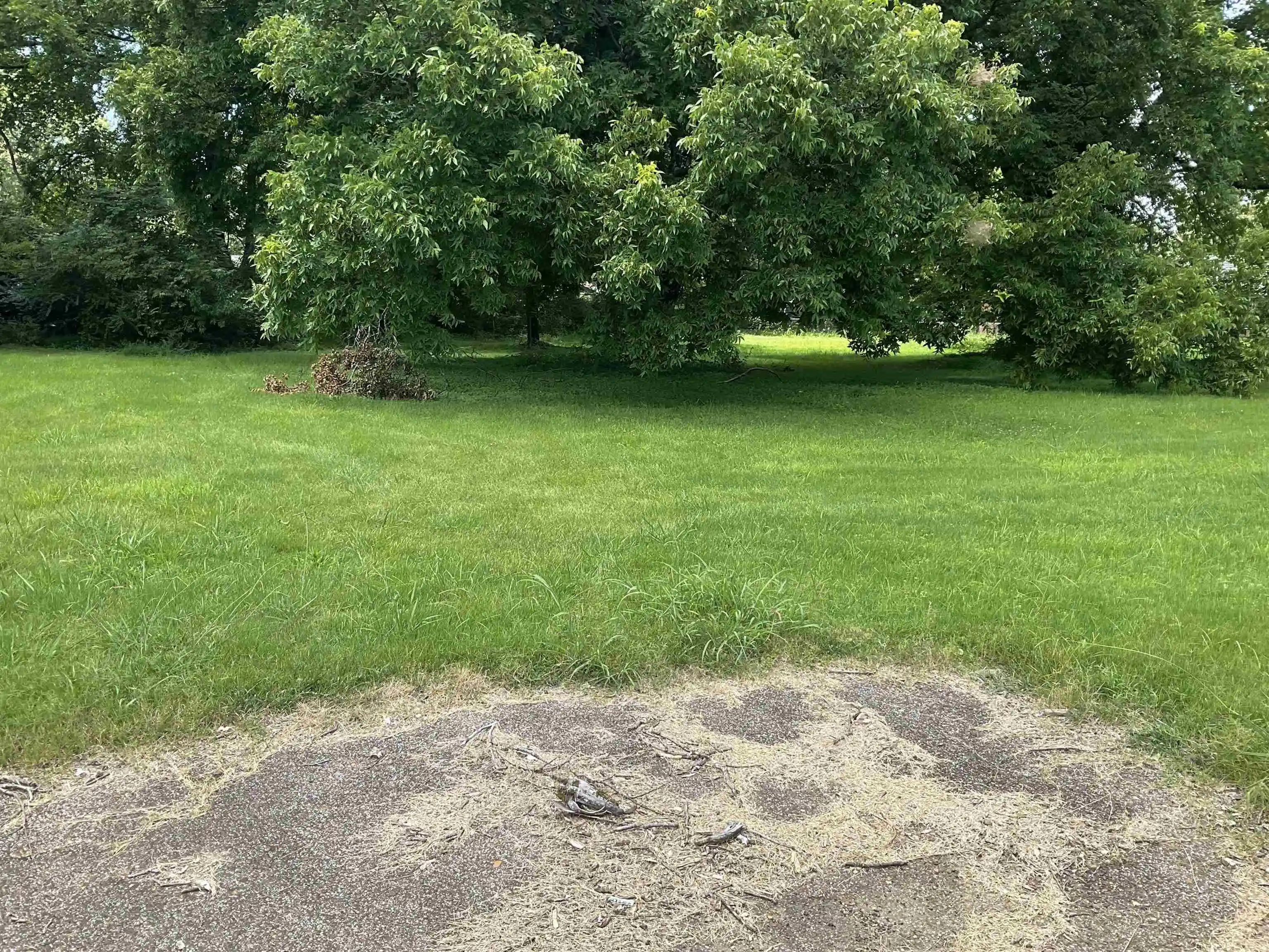Photo 3 of Land for sale at 487 W Us 72 Hwy, Collierville, TN 38017 | MLS# 10204699 | Listing updated on 2026-08-30