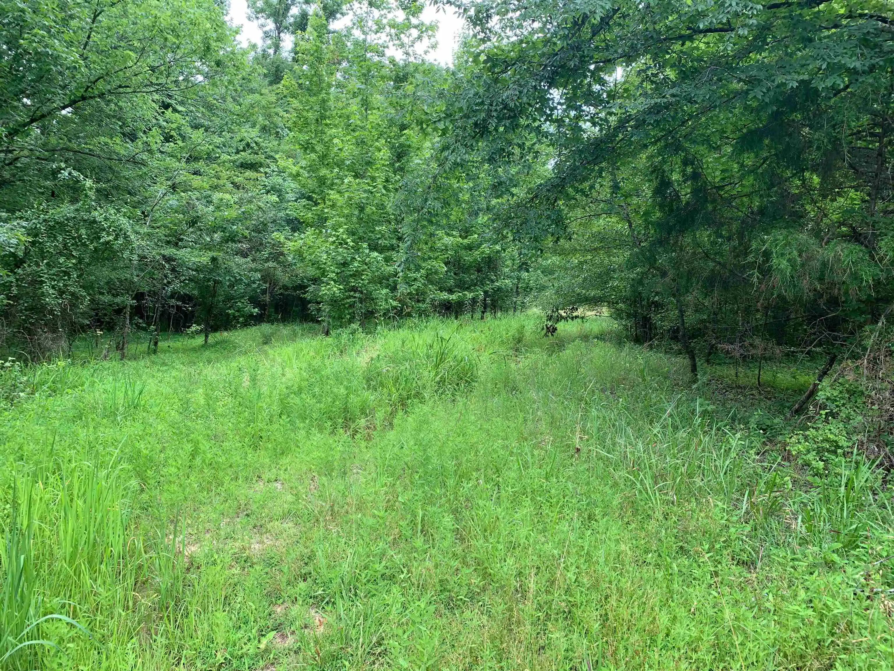 4th image of 0 Harris Rd, Arlington, TN 38002 | MLS# 10204825