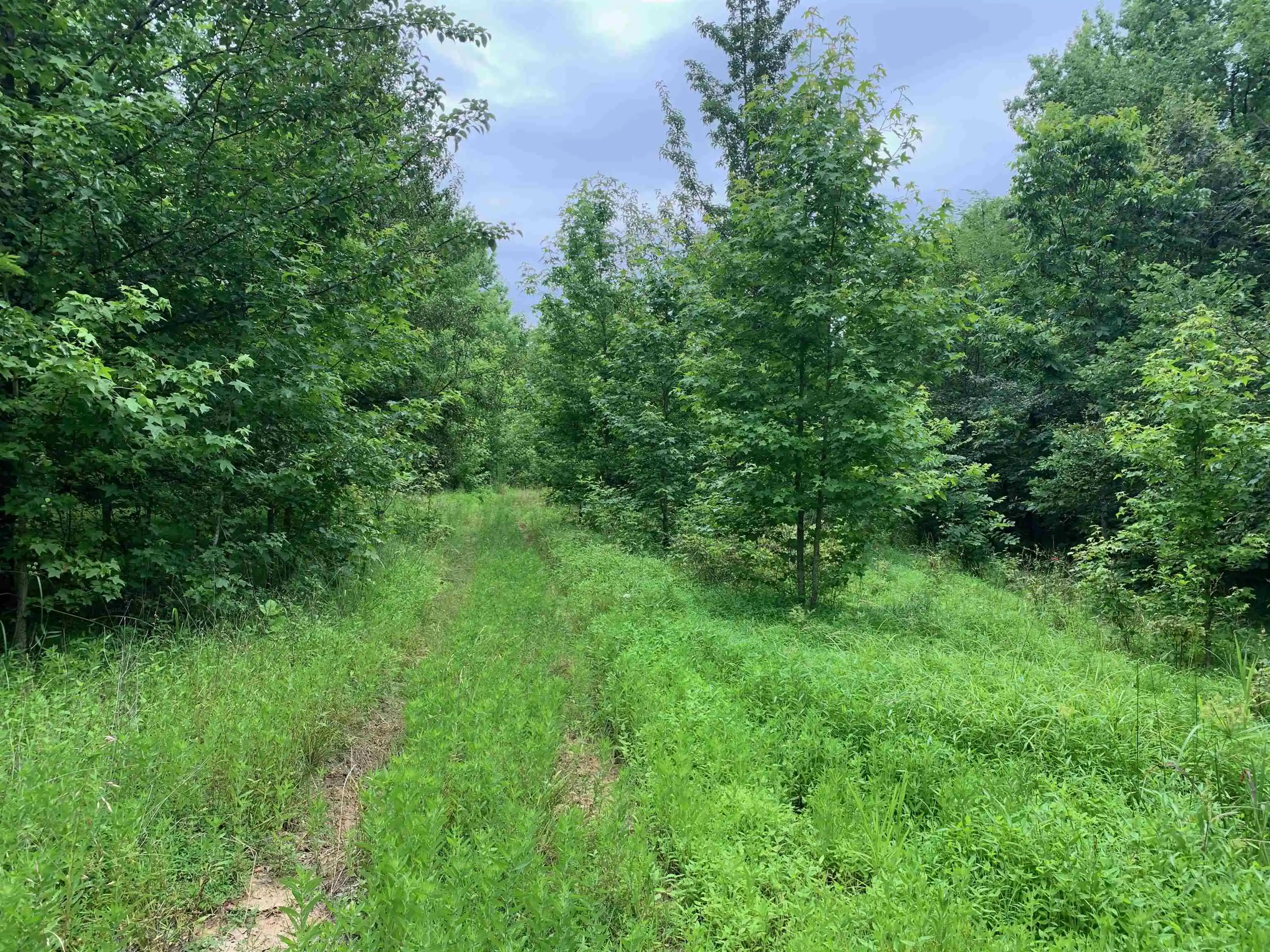 5th image of 0 Harris Rd, Arlington, TN 38002 | MLS# 10204825