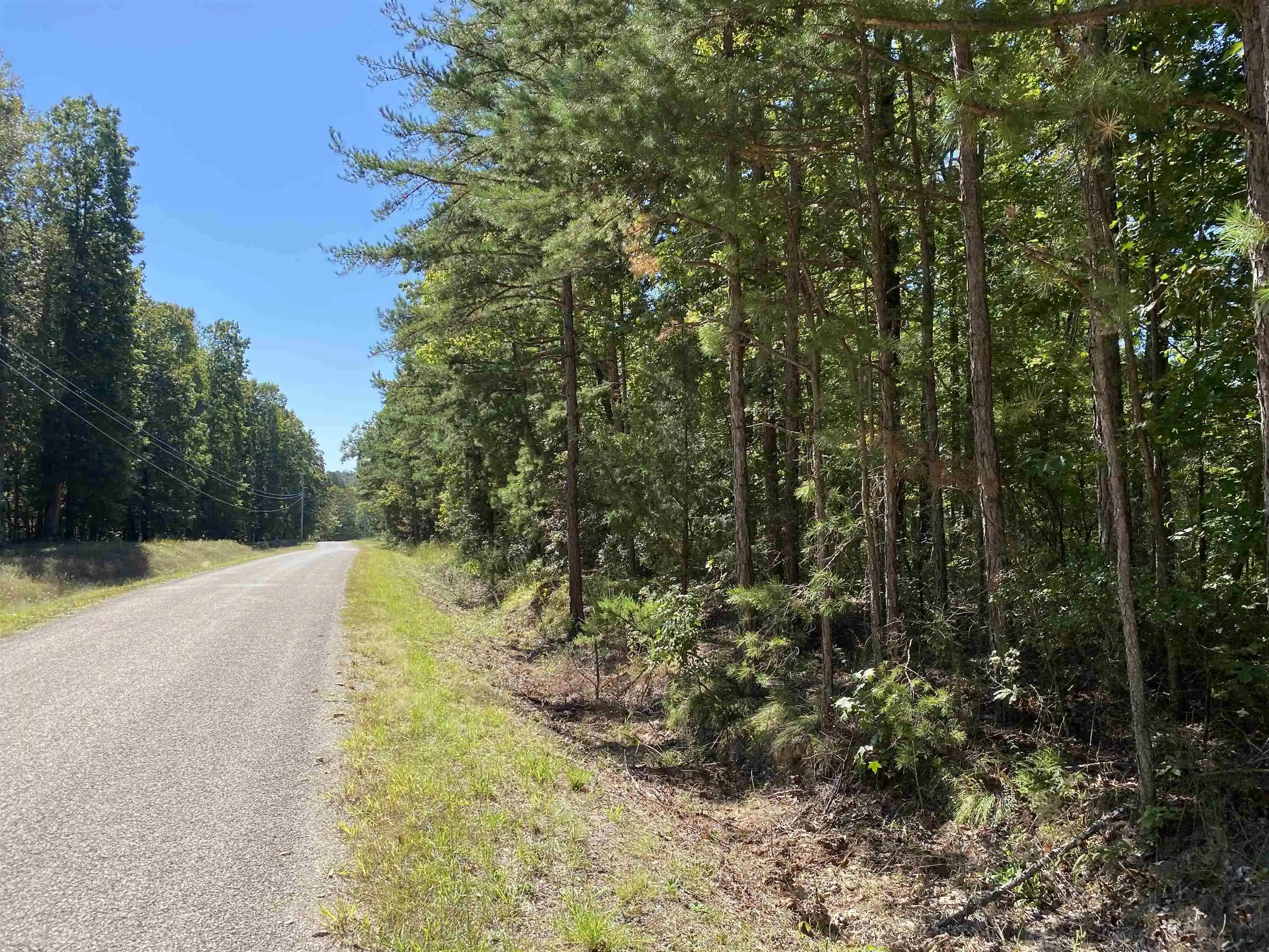 Photo 1 of Land for sale at 1 Lakeway Ln, Savannah, TN 38372 | MLS# 10207145 | Listing updated on 2026-09-14