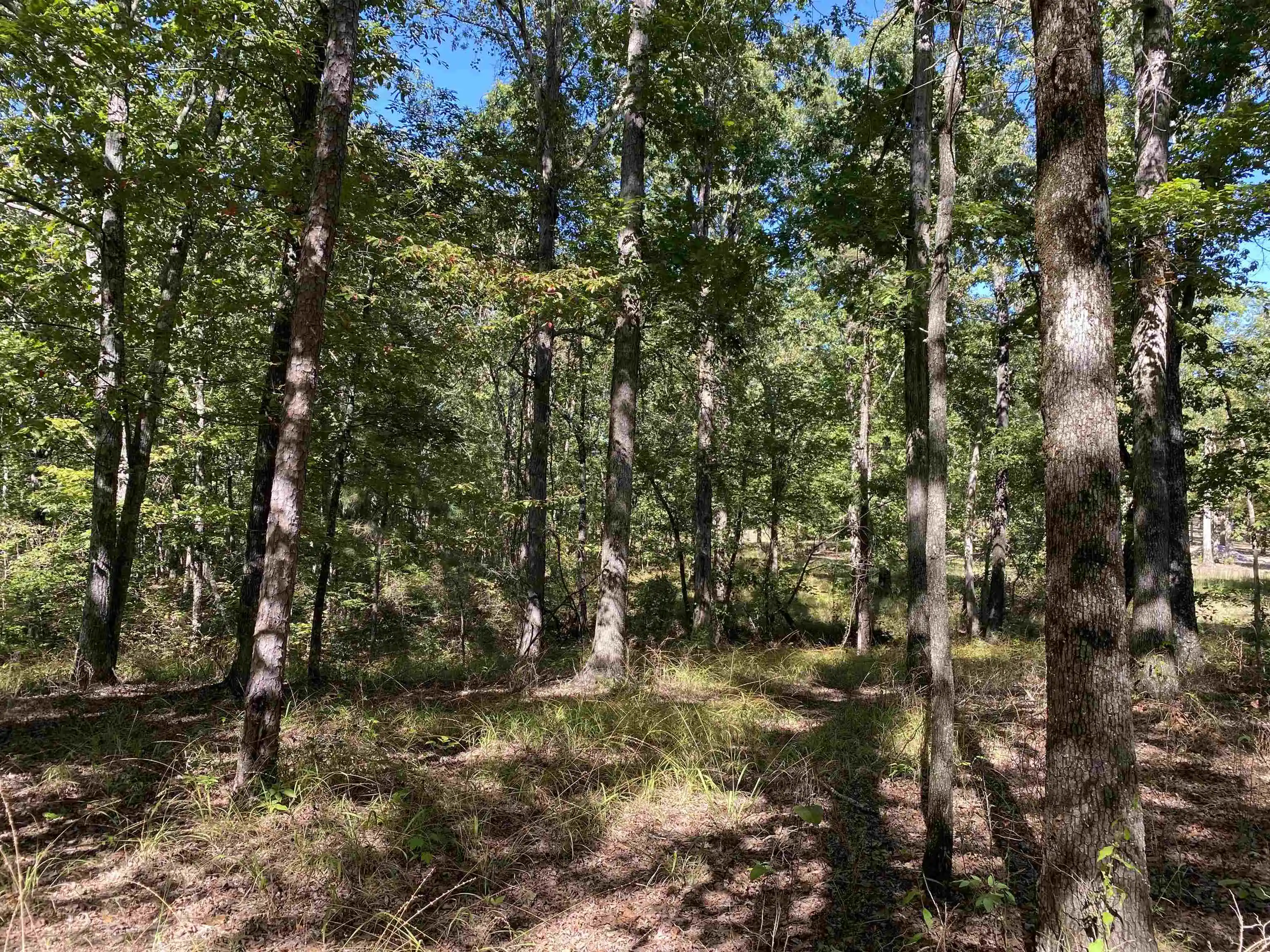 Photo 2 of Land for sale at 1 Lakeway Ln, Savannah, TN 38372 | MLS# 10207145 | Listing updated on 2026-09-14