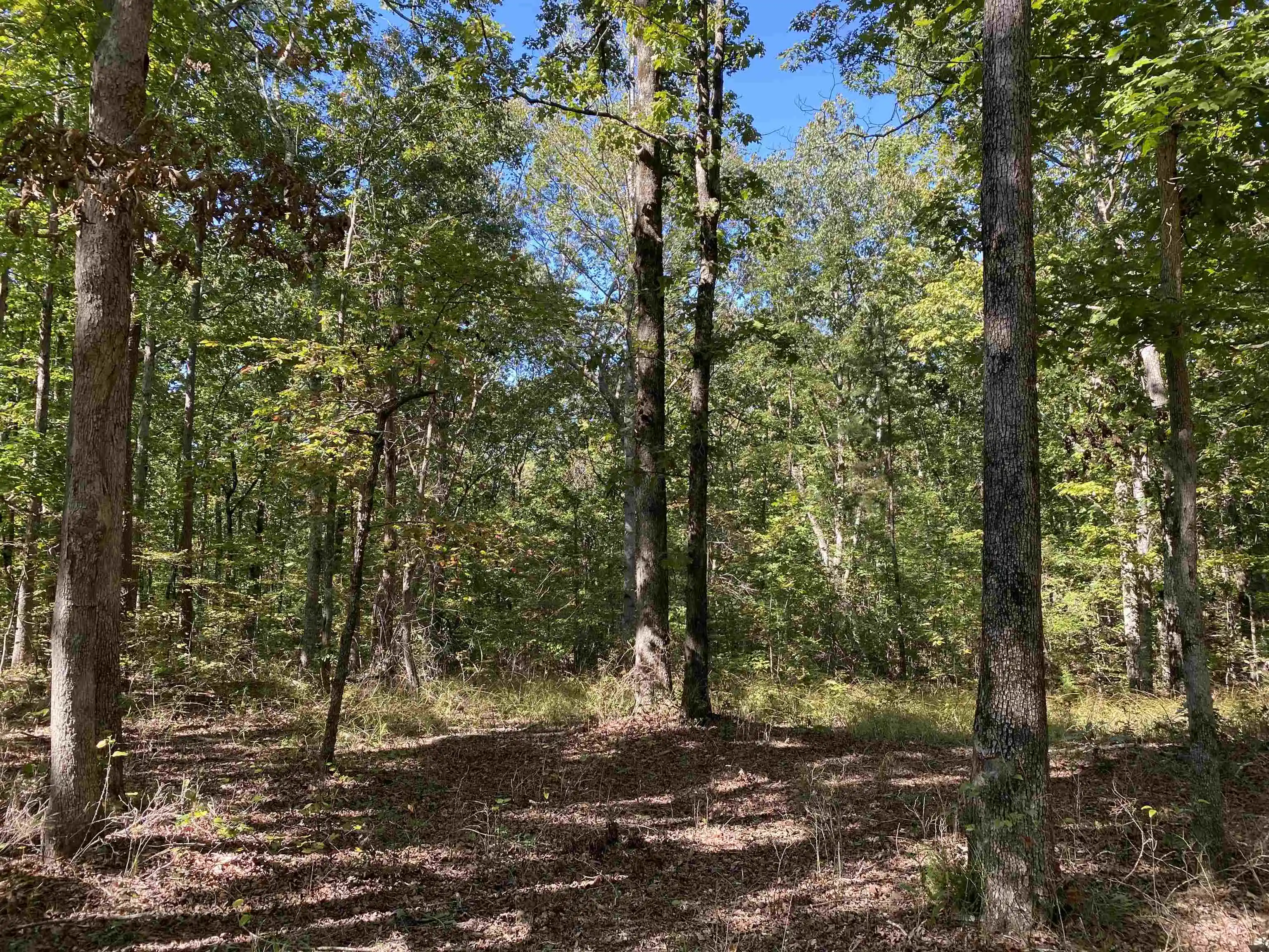 Photo 3 of Land for sale at 1 Lakeway Ln, Savannah, TN 38372 | MLS# 10207145 | Listing updated on 2026-09-14