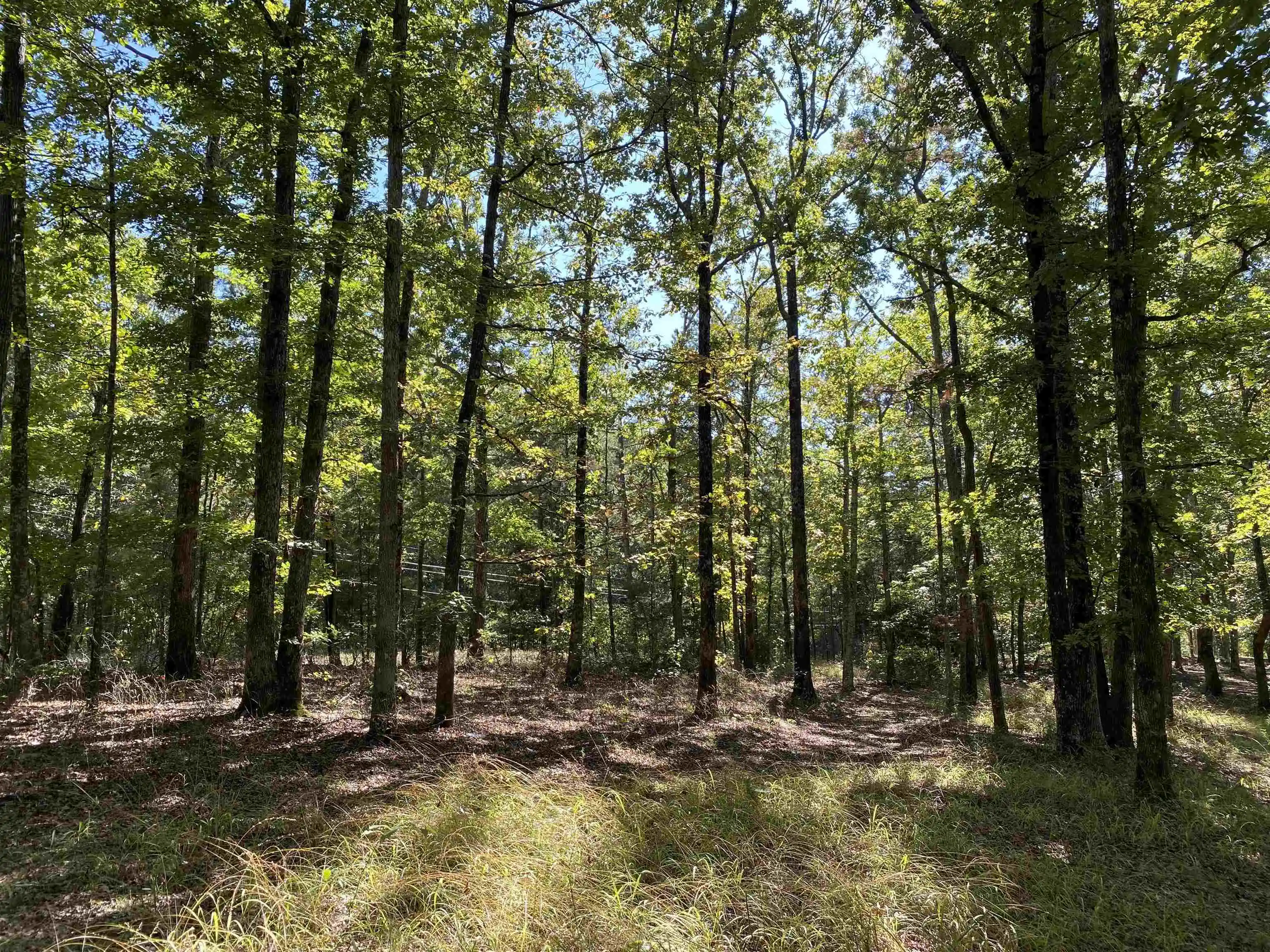 Photo 3 of Land for sale at 1 Lakeway Ln, Savannah, TN 38372 | MLS# 10207145 | Listing updated on 2026-09-14