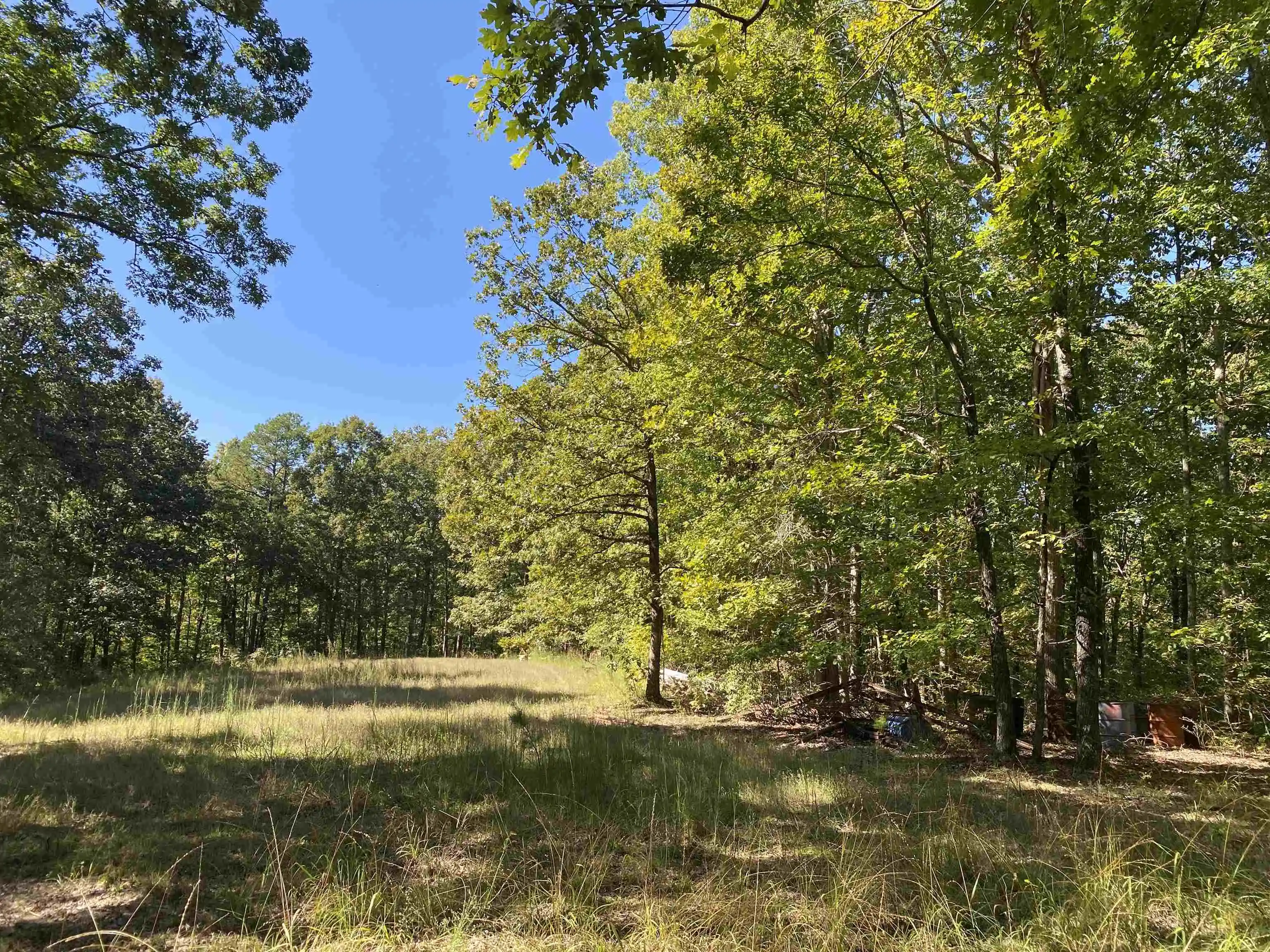 Photo 4 of Land for sale at 1 Lakeway Ln, Savannah, TN 38372 | MLS# 10207145 | Listing updated on 2026-09-14