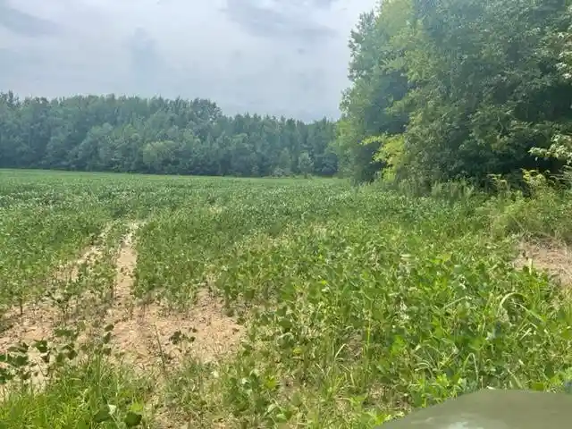 3rd image of 0 Oscar Lane Ln, Middleton, TN 38052 | MLS# 10207771