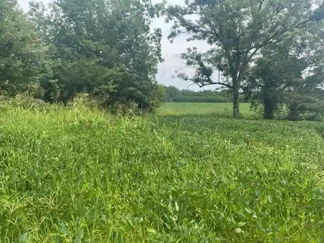 4th image of 0 Oscar Lane Ln, Middleton, TN 38052 | MLS# 10207771