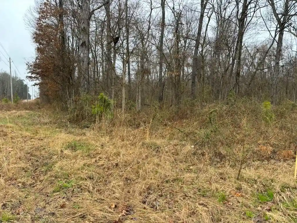 Photo 3 of Land for sale at 0 Highway 193, Collierville, TN 38017 | MLS# 10207857 | Listing updated on 2025-10-16