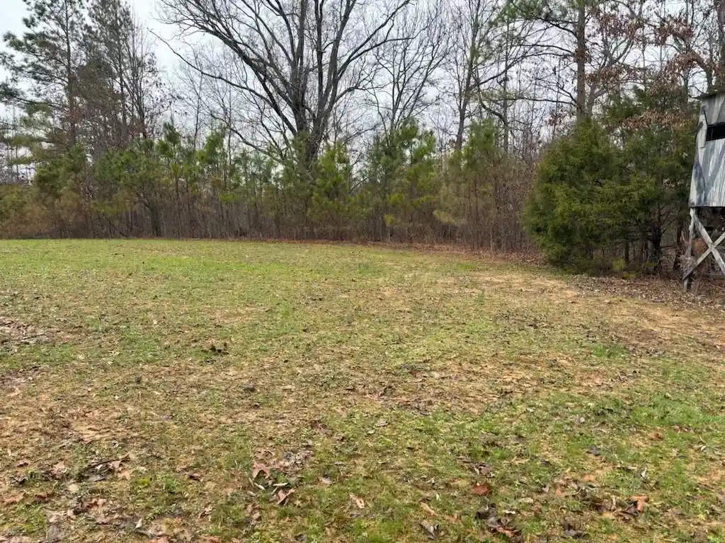 Photo 3 of Land for sale at 0 Highway 193, Collierville, TN 38017 | MLS# 10207857 | Listing updated on 2025-10-16