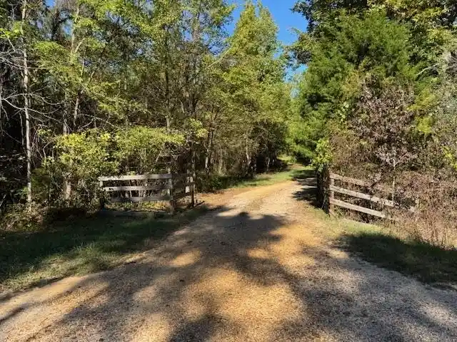 Homes for sale in Bolivar, TN | Walnut Grove Rd, Bolivar, TN 38008 | MLS# 10208155