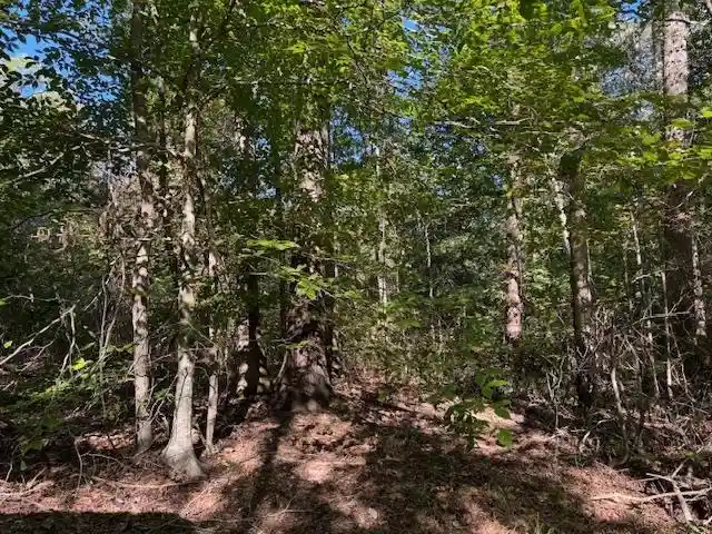 Homes for sale in Bolivar, TN | Walnut Grove Rd, Bolivar, TN 38008 | MLS# 10208155