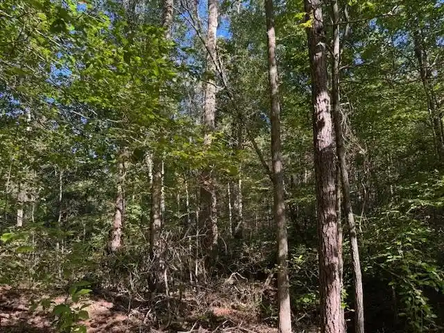 Homes for sale in Bolivar, TN | Walnut Grove Rd, Bolivar, TN 38008 | MLS# 10208155