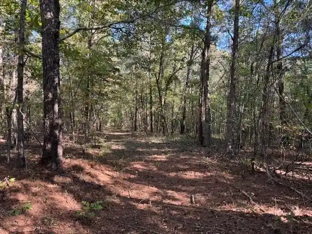 Homes for sale in Bolivar, TN | Walnut Grove Rd, Bolivar, TN 38008 | MLS# 10208155
