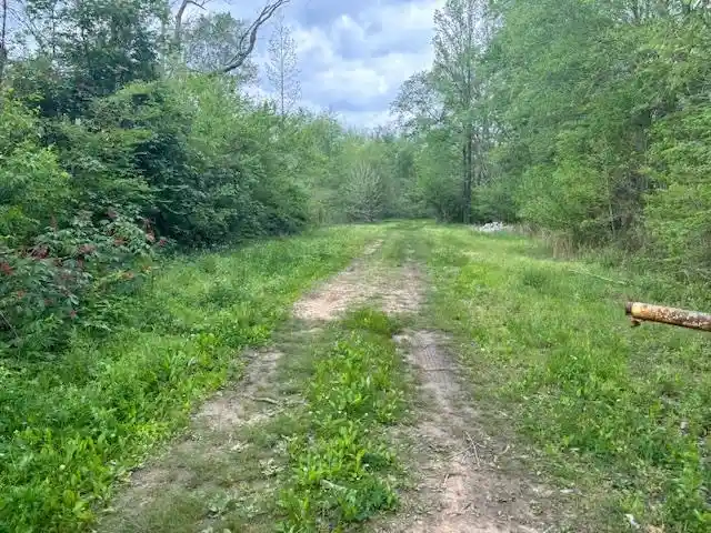 3rd image of 0 Hwy 18 Hwy, Bolivar, TN 38008 | MLS# 10208252