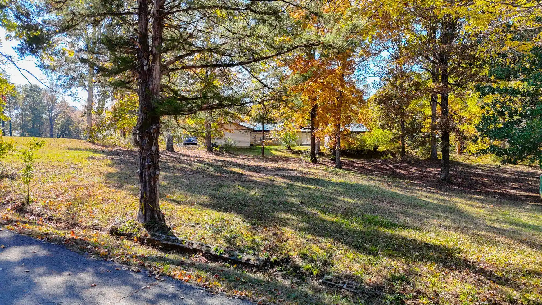 Photo 3 of Land for sale at 0 Cr 171 Rd, Iuka, MS 38852 | MLS# 10209186 | Listing updated on 2026-08-09
