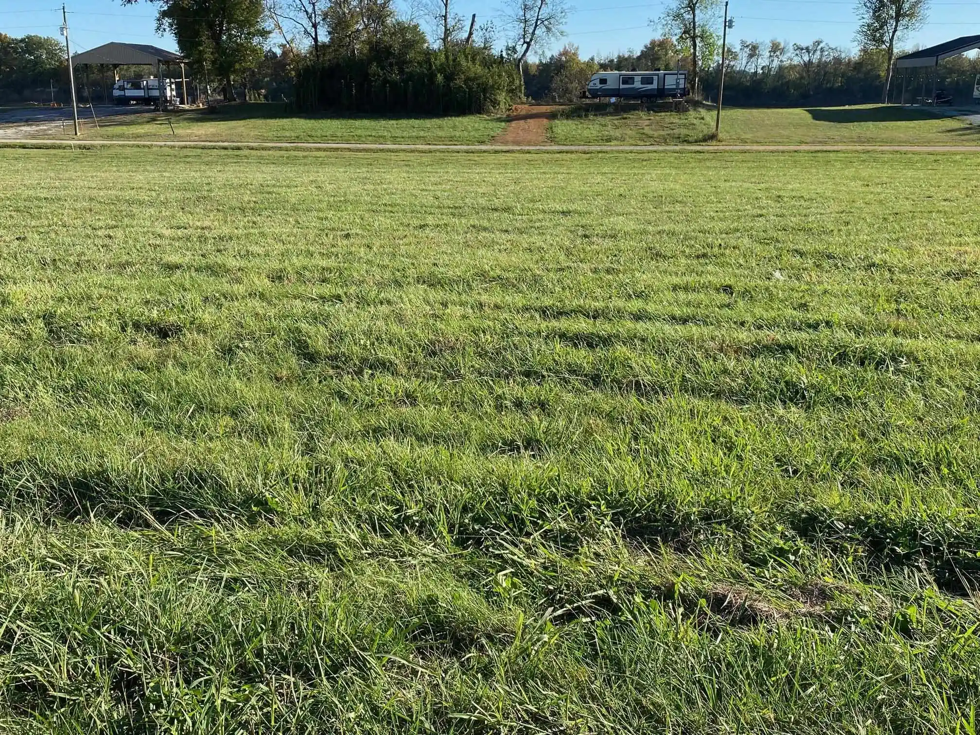 Photo 3 of Land for sale at 125 Catfish Ln, Crump, TN 38327 | MLS# 10209472 | Listing updated on 2026-04-08