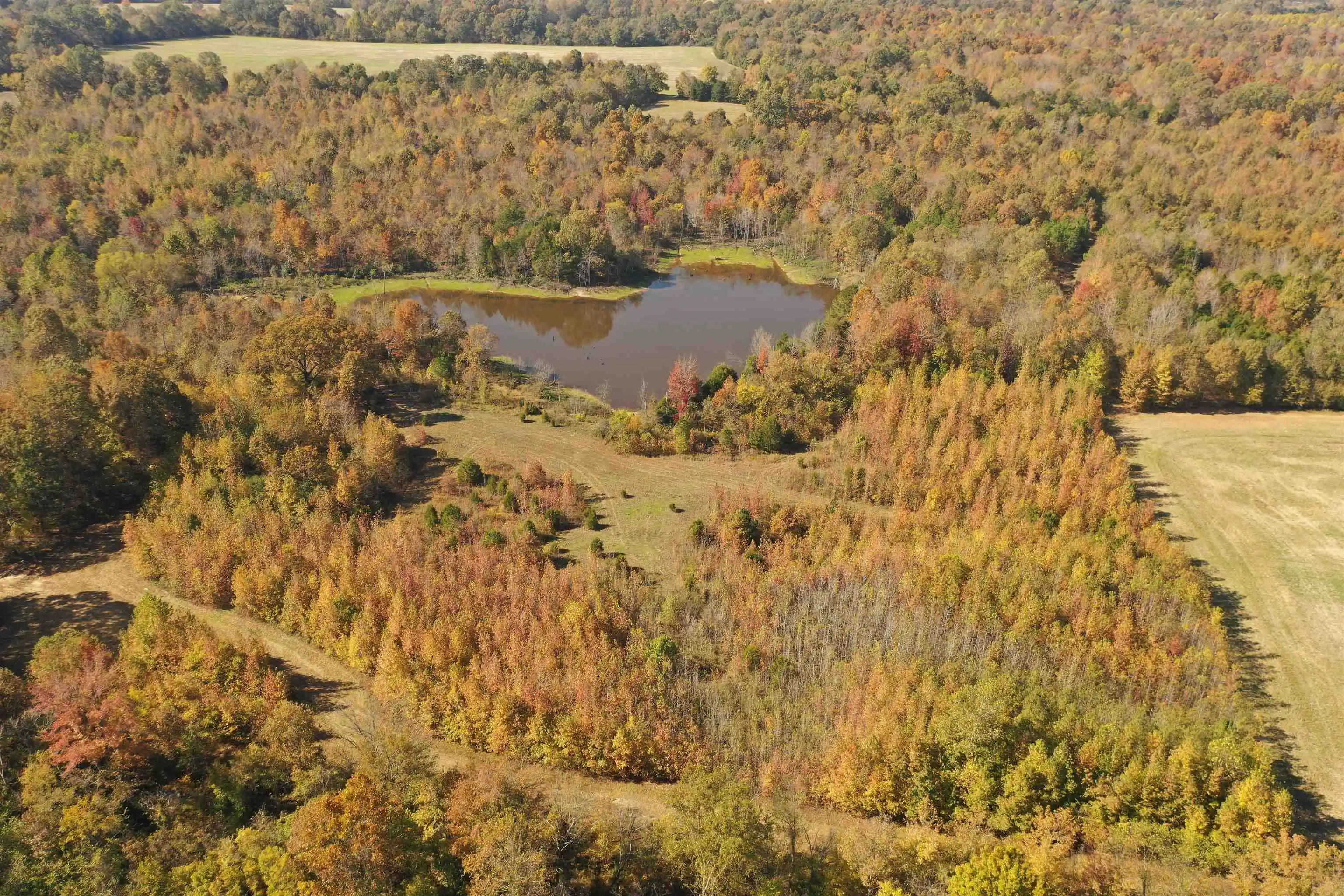 1st image of Mcfadden Rd, Oakland, TN 38060 | MLS# 10209515