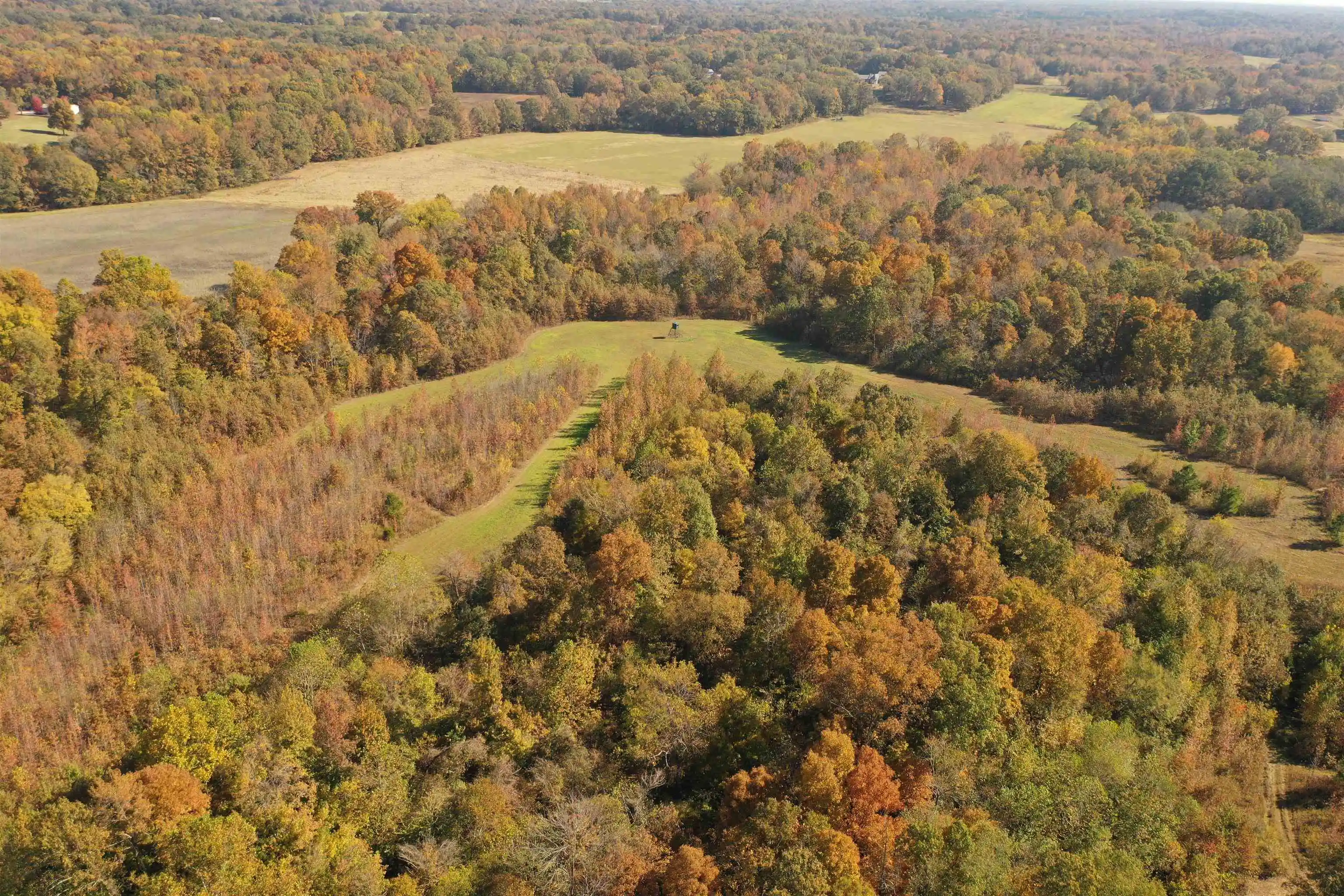 3rd image of Mcfadden Rd, Oakland, TN 38060 | MLS# 10209515
