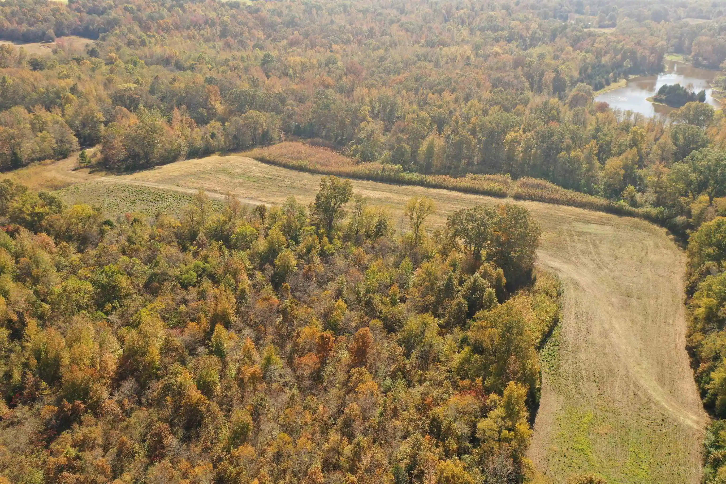 29th image of Mcfadden Rd, Oakland, TN 38060 | MLS# 10209515