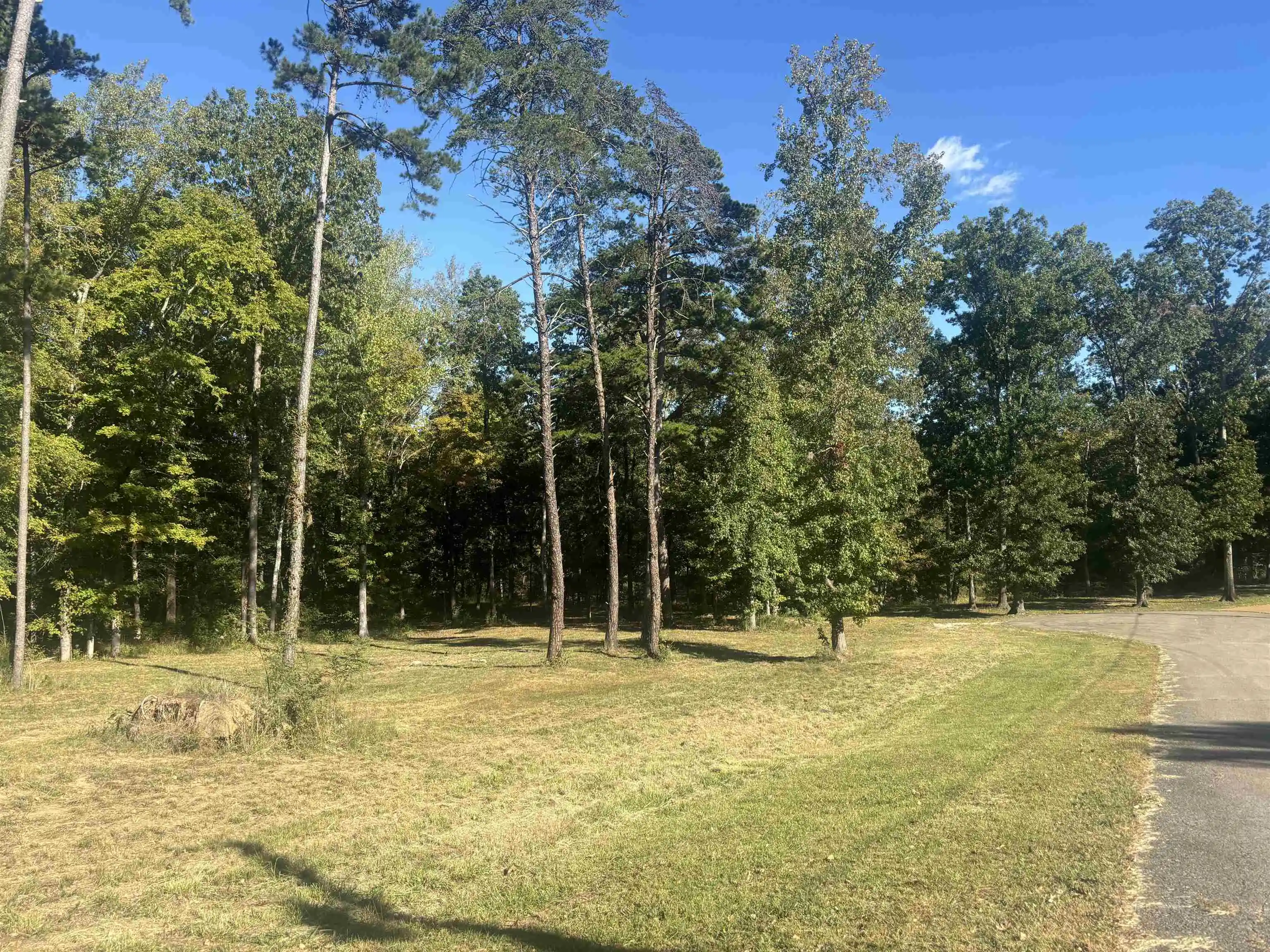 Homes for sale in Bath Springs, TN | 0 Mariah Ln #Lot 100-101, Bath Springs, TN 38311 | MLS# 10209534
